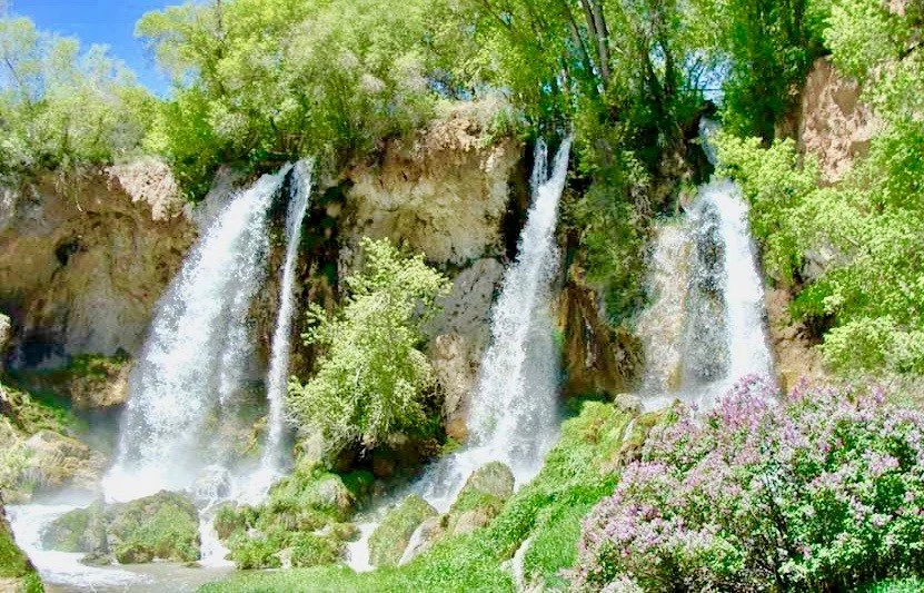 Time to Mother the Mother