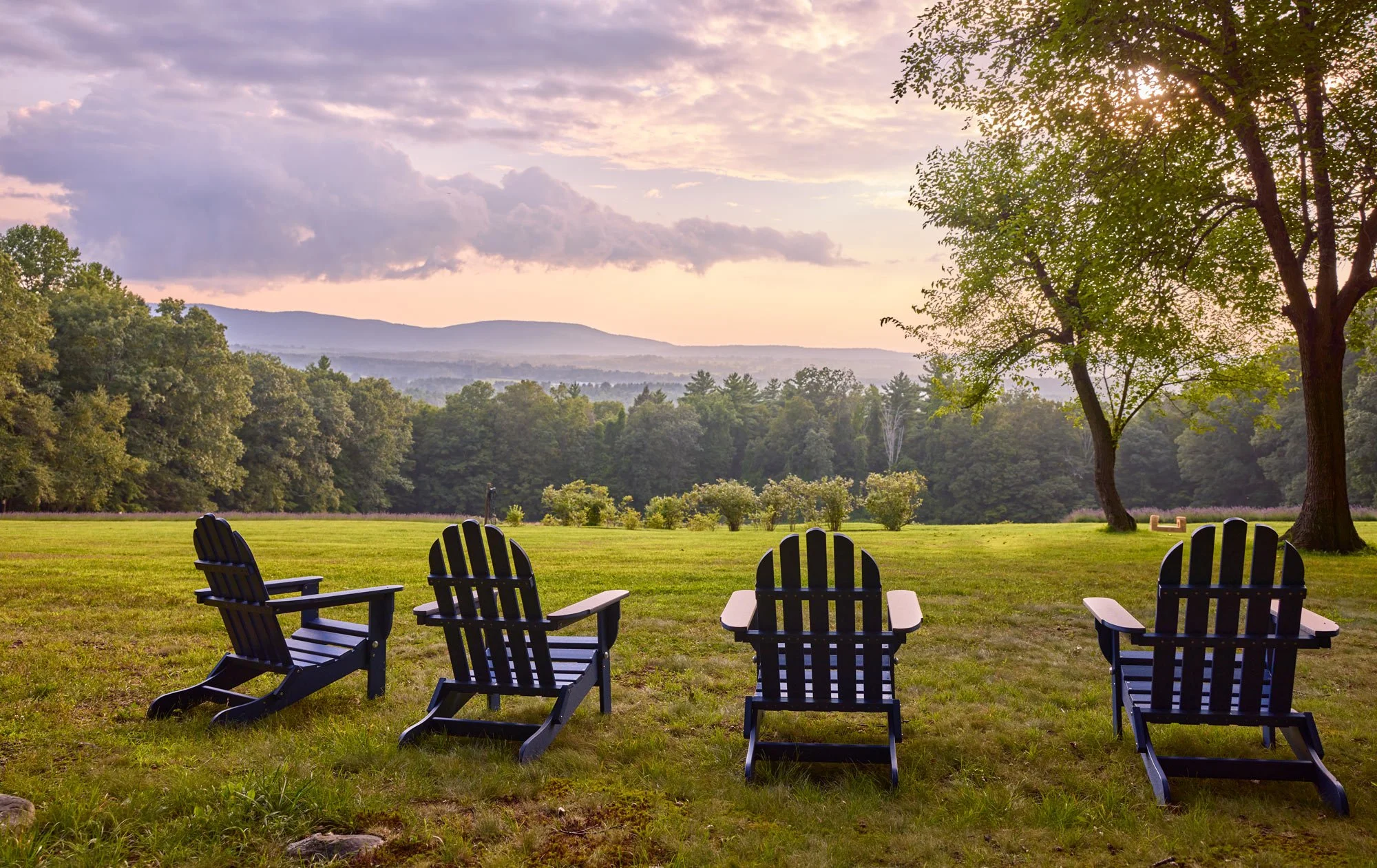 CFE_Gallery_TheEstate_AdirondackChairs.jpg