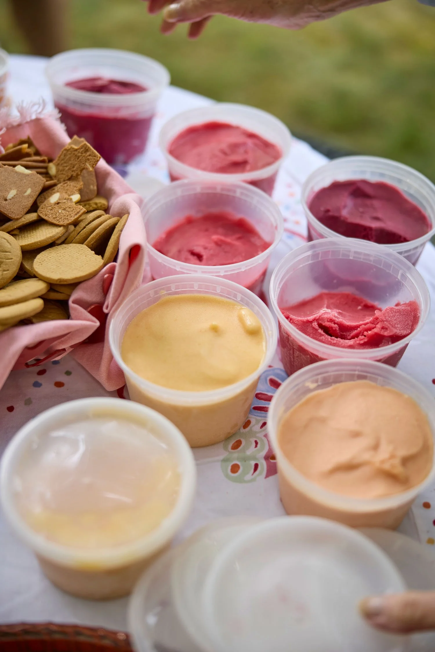 A Picnic in the Park