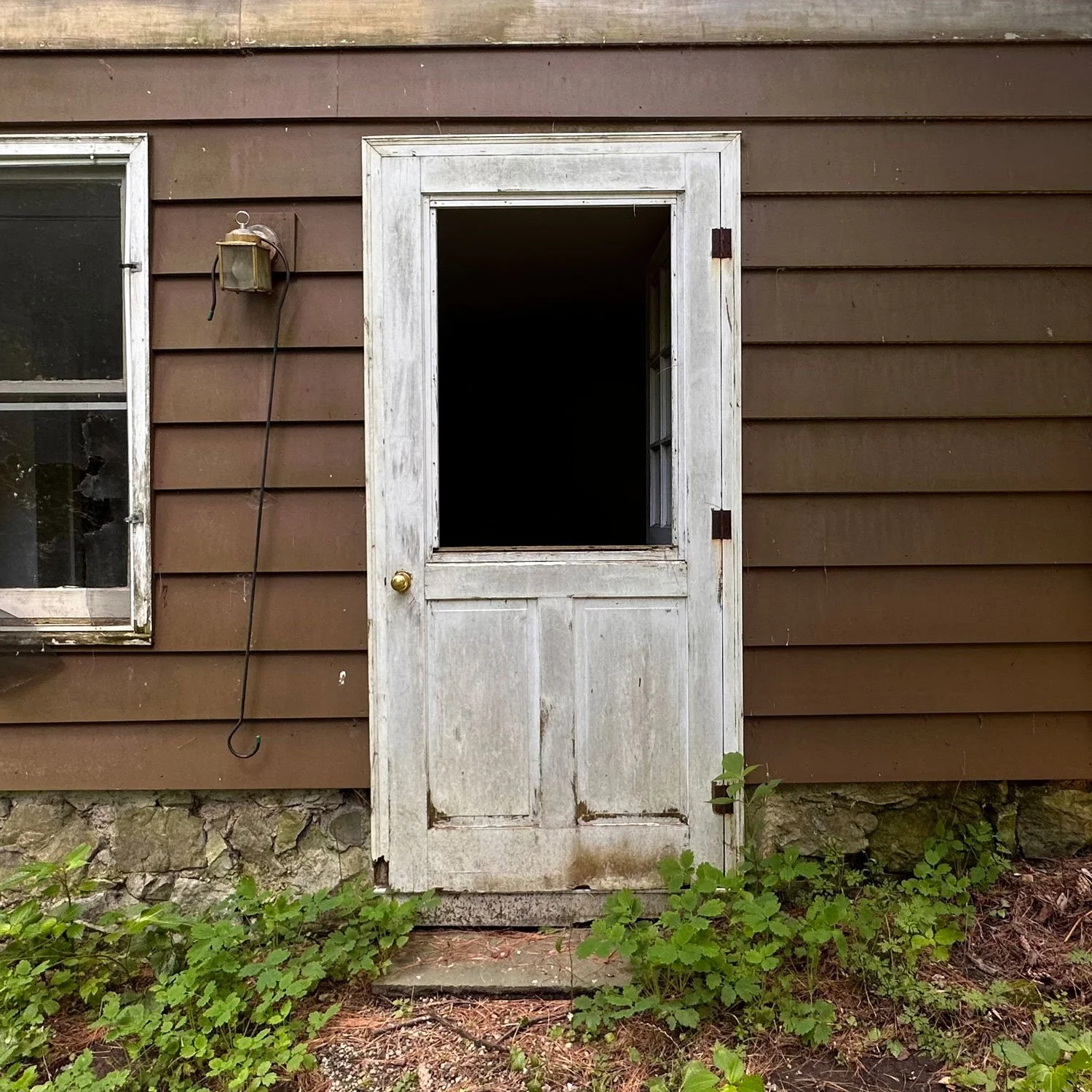 CFE_TheLog_MoldMildew_Gallery_3.jpg