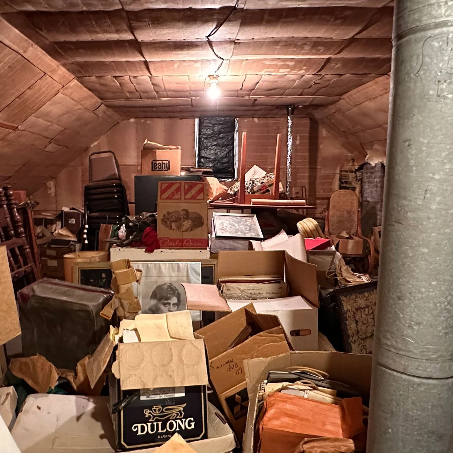 CFE_TheLog_MoldMildew_Gallery_5.jpg
