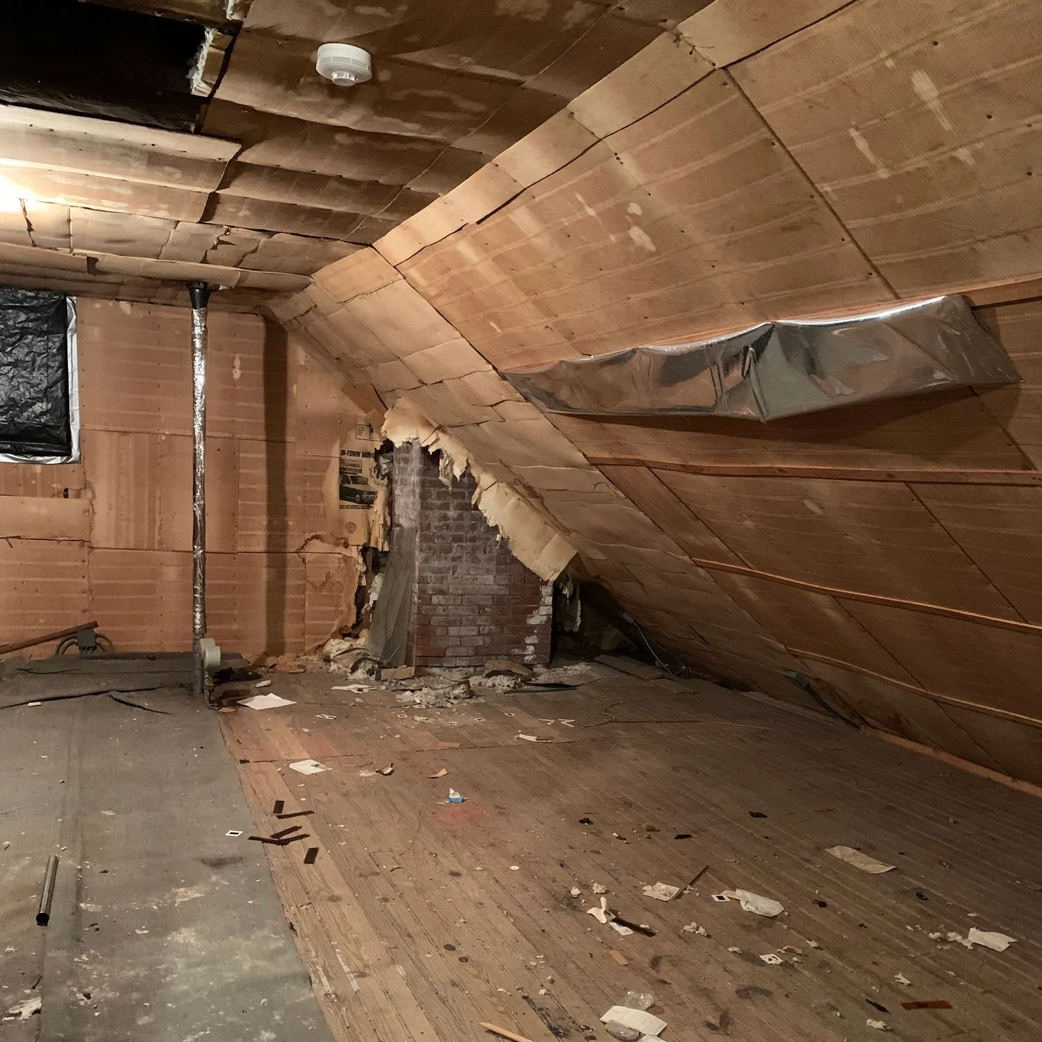 CFE_TheLog_MoldMildew_Gallery_6.jpg