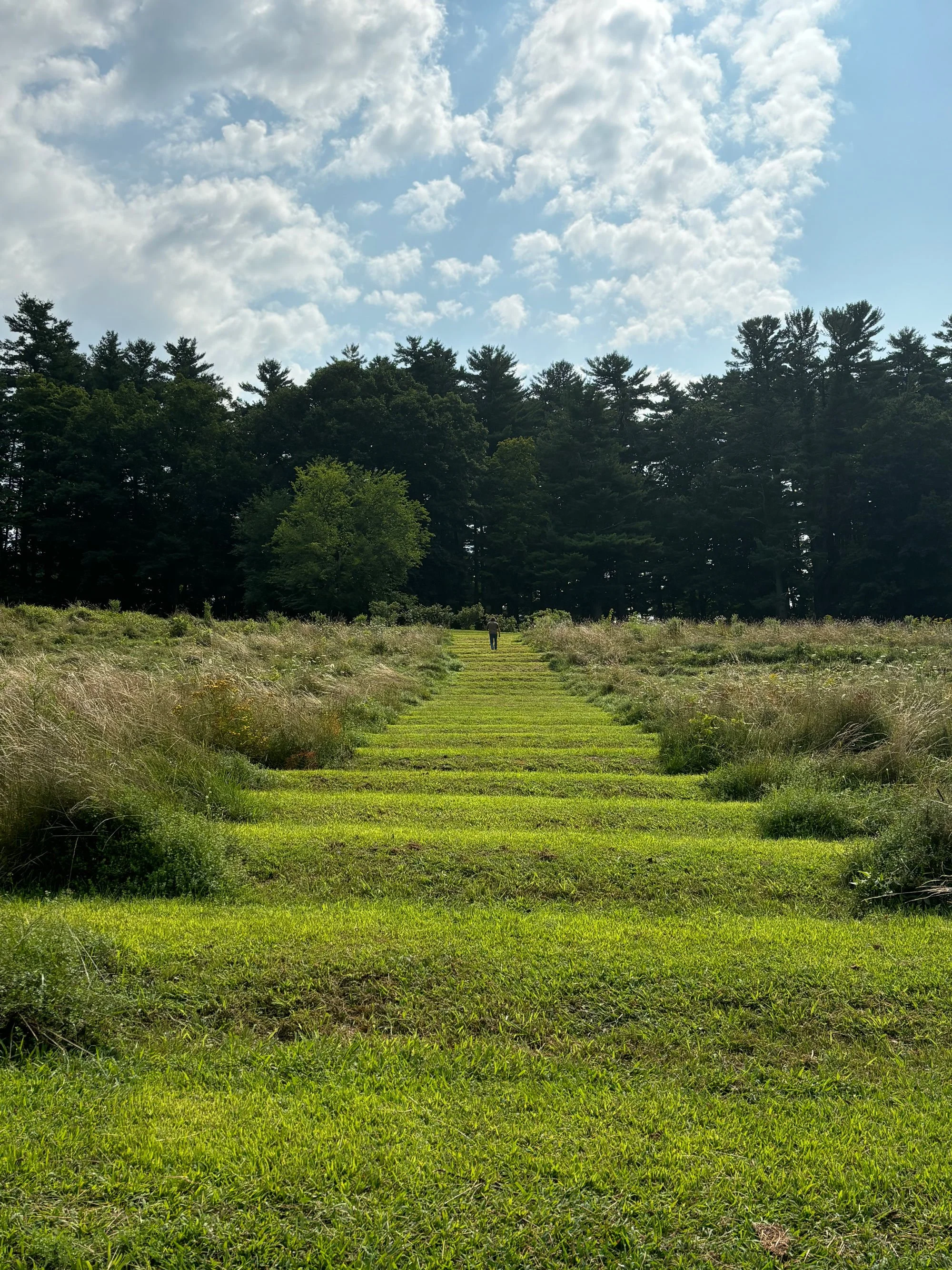 CFE_Gallery_TheEstate_TheField.jpg