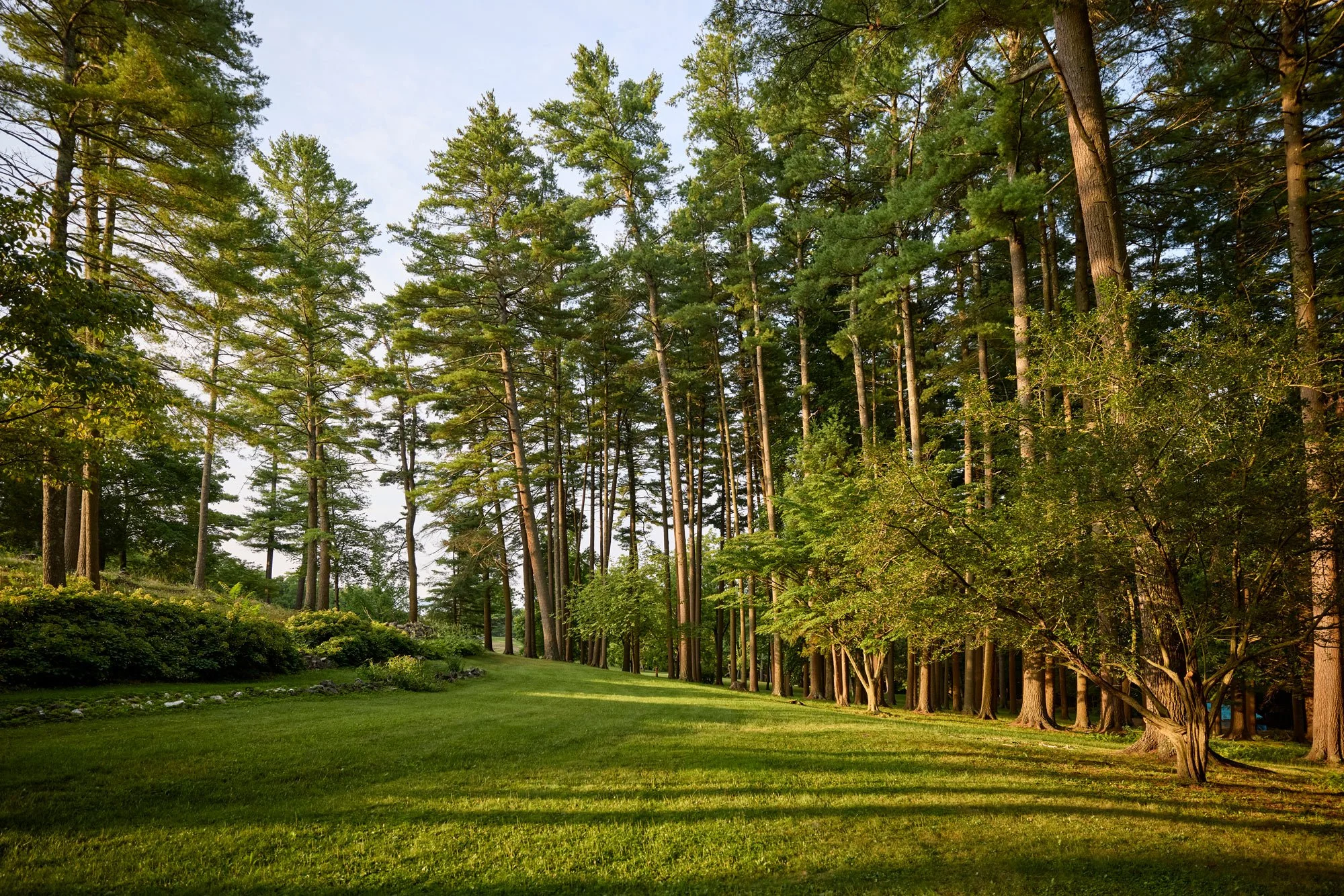 CFE_Gallery_TheEstate_Aug2025.jpg