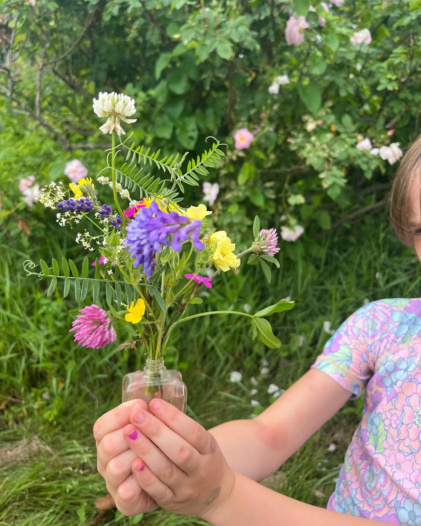 Flowers around the farm! 💜 

Some weeds, some wild, some cultivated, some volunteers. All beautiful! 🌸
