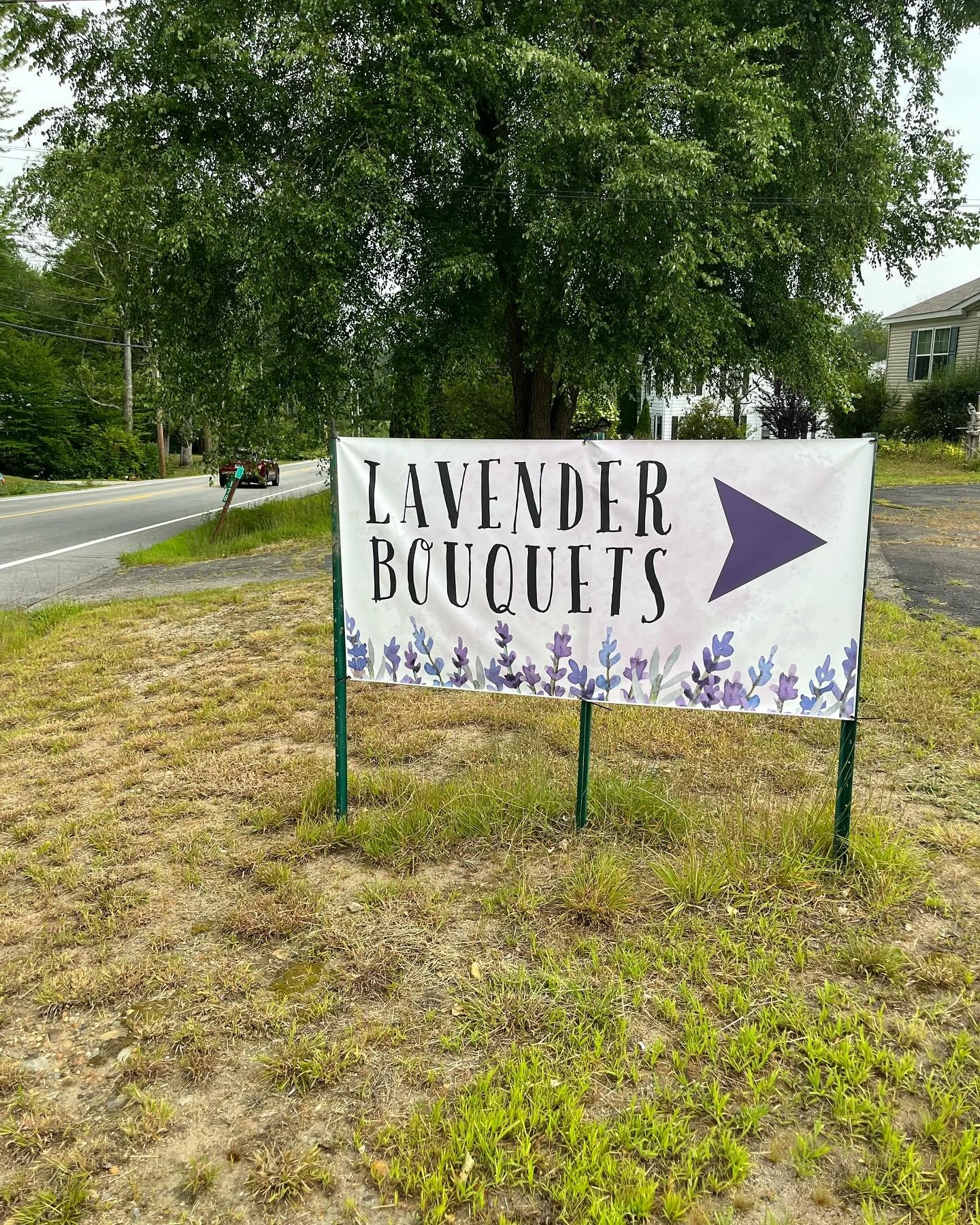 Our roadside lavender bouquet table has been set up for about a week now. Many thanks to those who&rsquo;ve stopped by and supported our small family farm. 🙏🏻

I&rsquo;ve been placing fresh bouquets out there most mornings, and they are wonderful t
