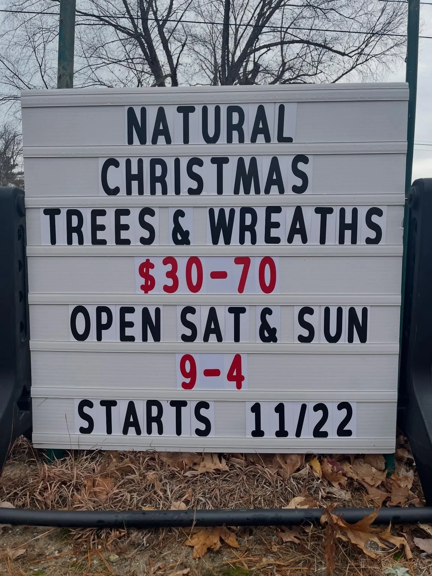 Now open on Saturdays and Sundays 9am-4pm, while supplies last! Stop by to pick out a pre-cut natural Christmas tree, wreath, a warm cup of cocoa, a lavender gift from our farm store. Or maybe even feed our friendly sheep Milken some grain from your 