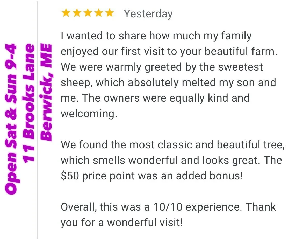 It is truly a blessing to share in the magic of the holidays here at Lavender Hill Farm! Sweet words like this remind us why we do what we do.

Come share in this experience for yourself this weekend Saturday and Sunday 9am-4pm. 

🌲 🎁 ☕️ Stop by to