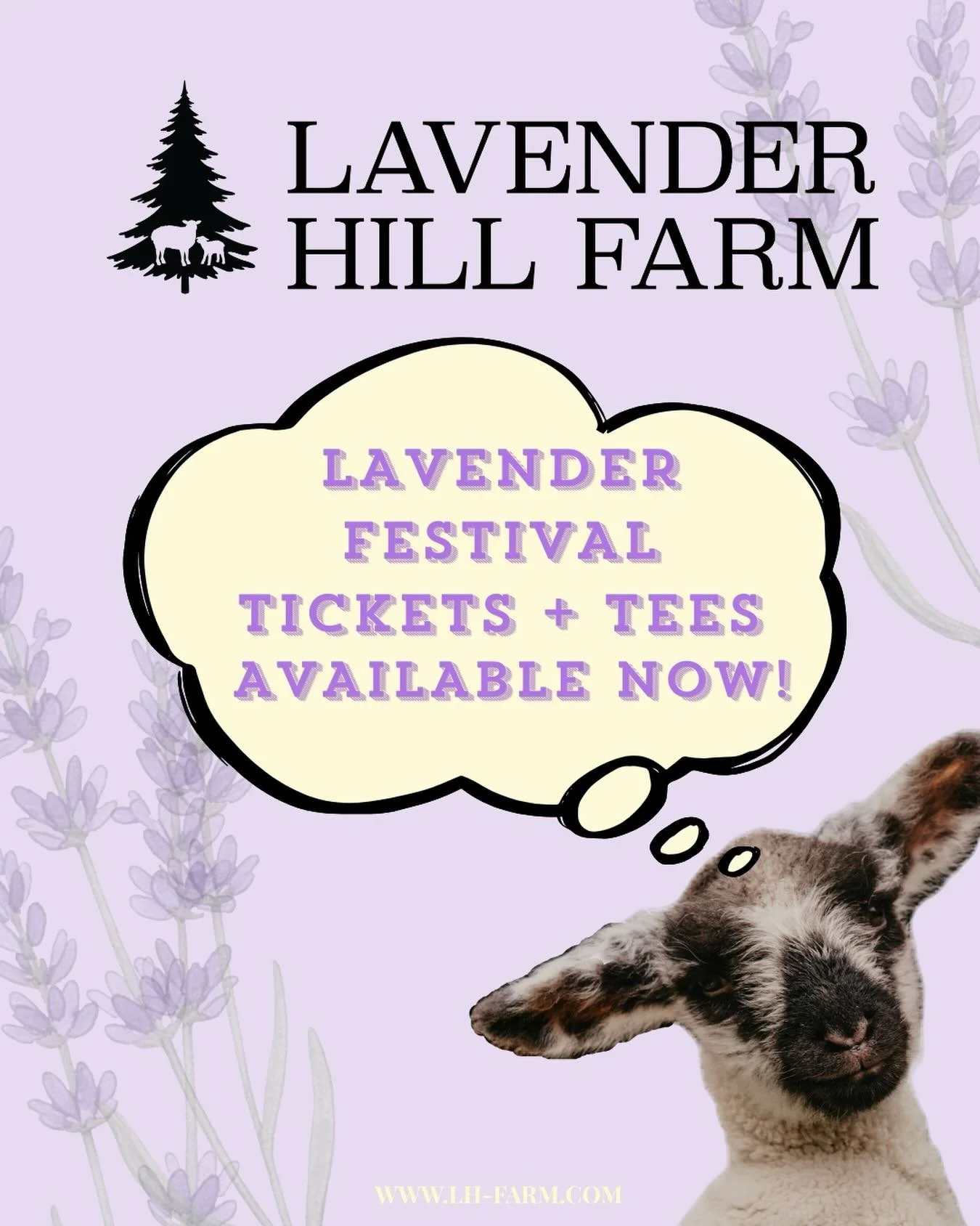 Lavender Festival 2026!
July 11th &amp; 12th
10am-2pm

🎟️ Secure your parking space (and admission) for a carload of friends or family today!

👕 Pre-order your Lavender Festival T-Shirts!

Click the link in our bio!
Available online at www.LH-Farm.