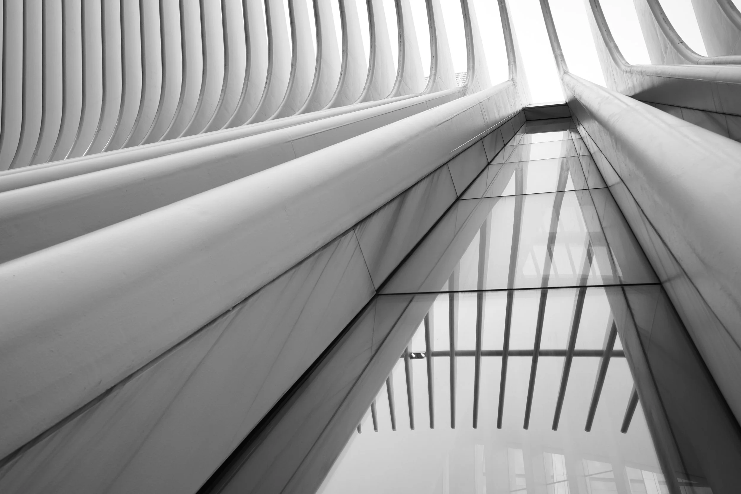 Black-and-white view of sweeping ribbed architectural arches and glass skylights inside a modern building