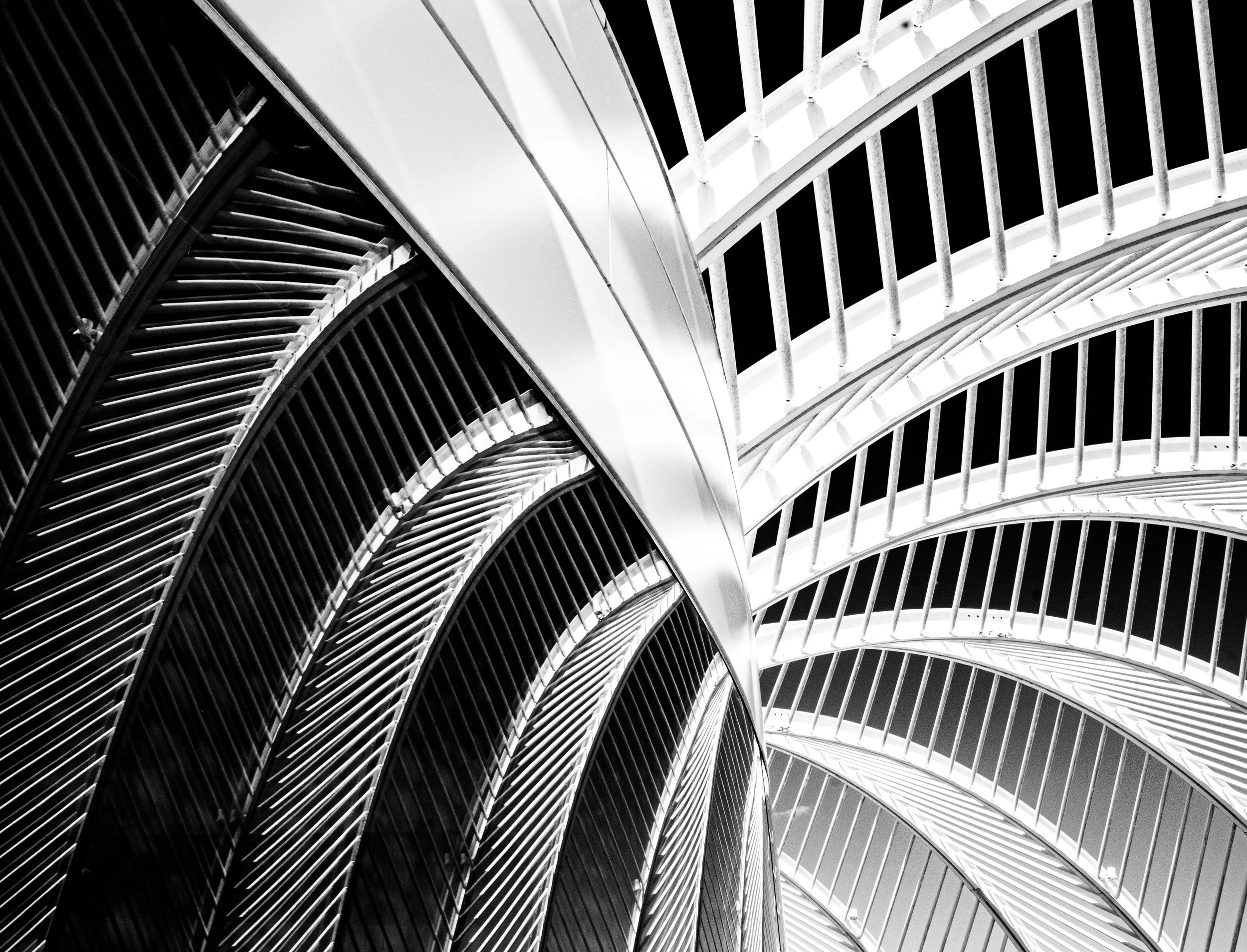 Abstract black-and-white architectural view of sweeping curved metal beams and repeating vertical rib structures