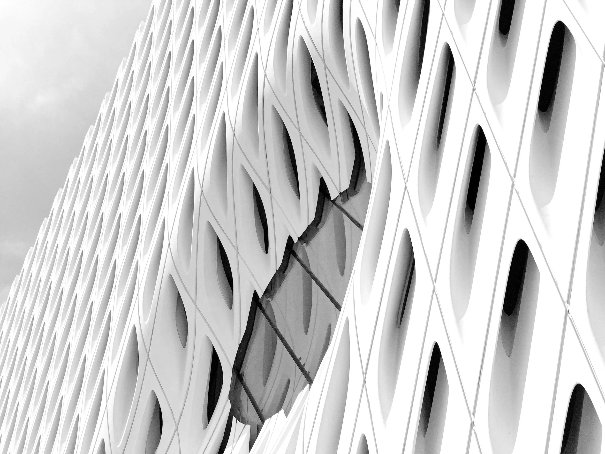 Black-and-white close-up of a modern building facade with repeating curved white panels and diagonal structural cables.