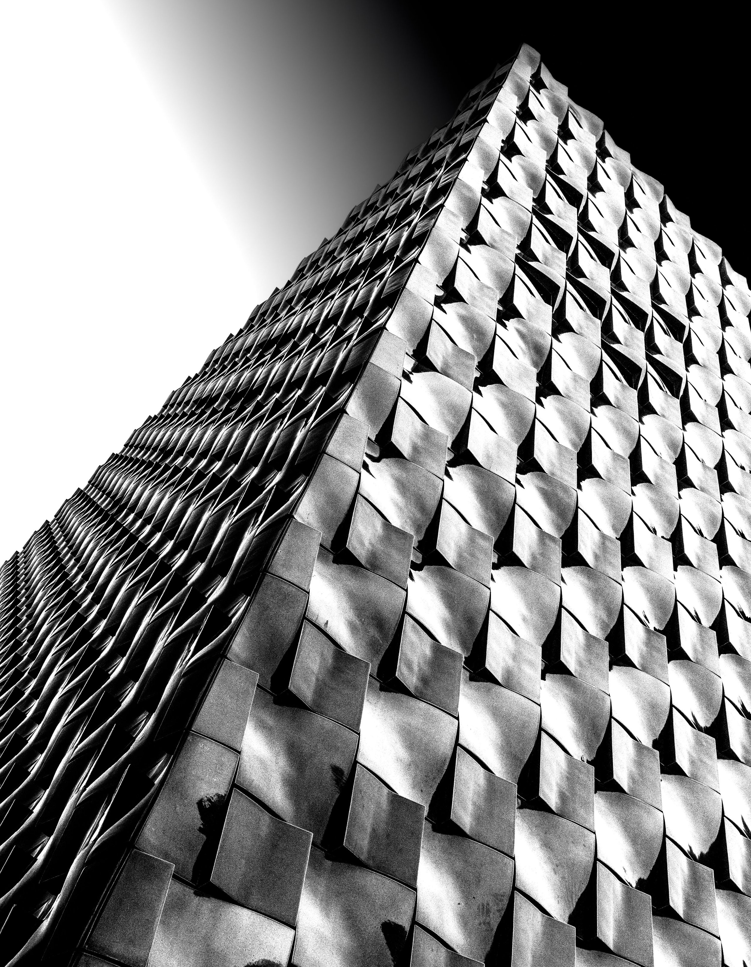Black-and-white close-up of overlapping feather-like geometric scales forming a textured wing or mountain shape