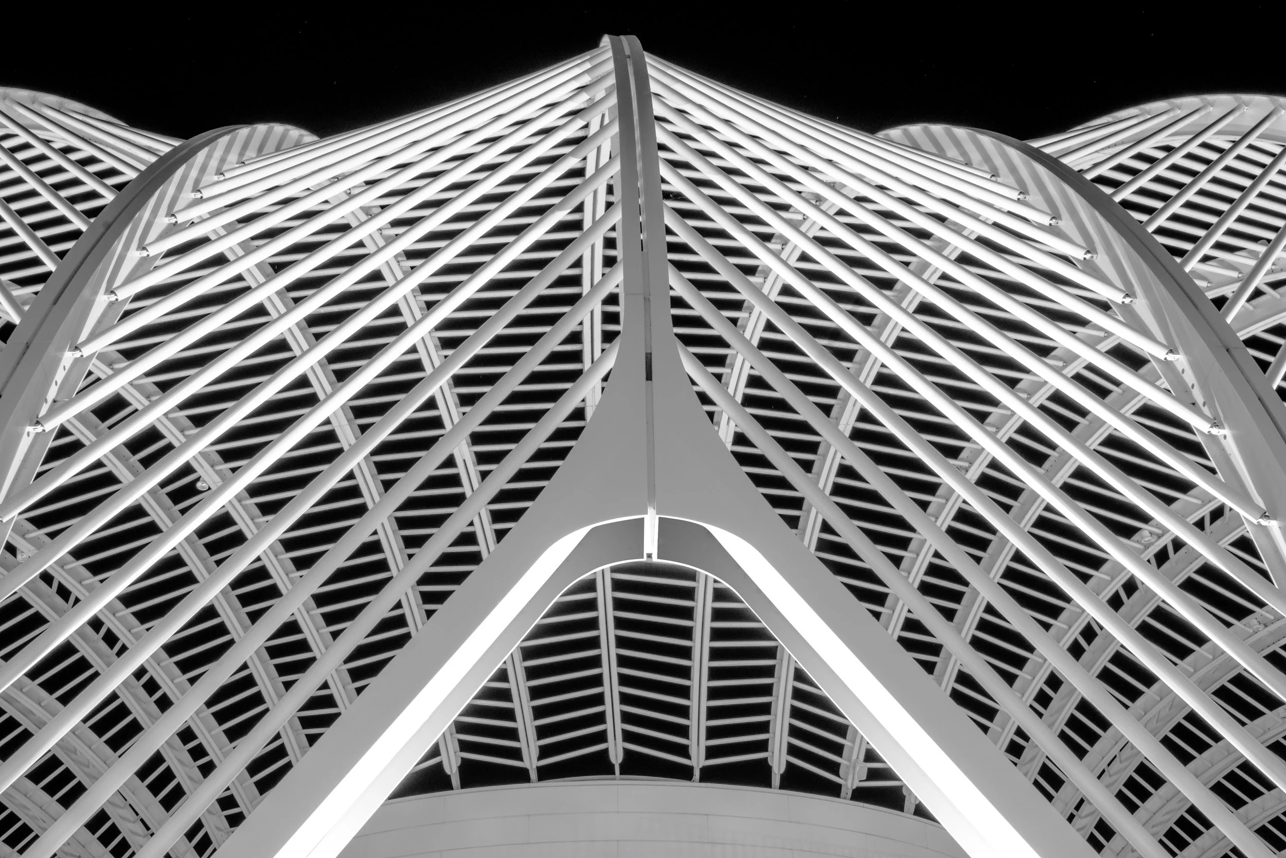 Black-and-white upward view of a modern architectural roof with symmetrical white steel beams and curved supports.