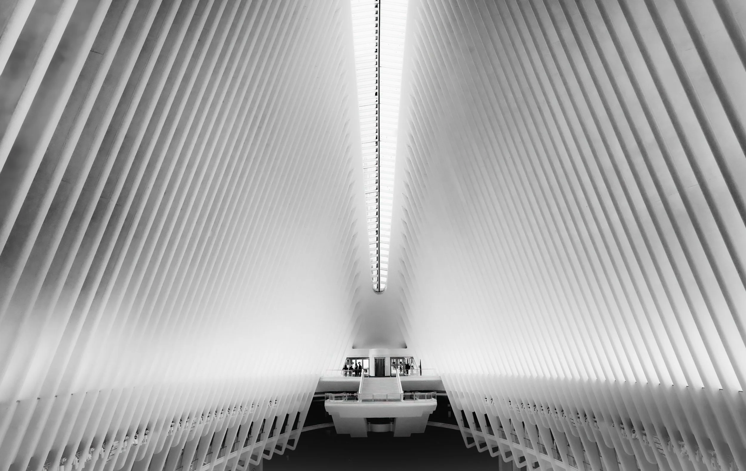 Oculus-Cathedral.jpg