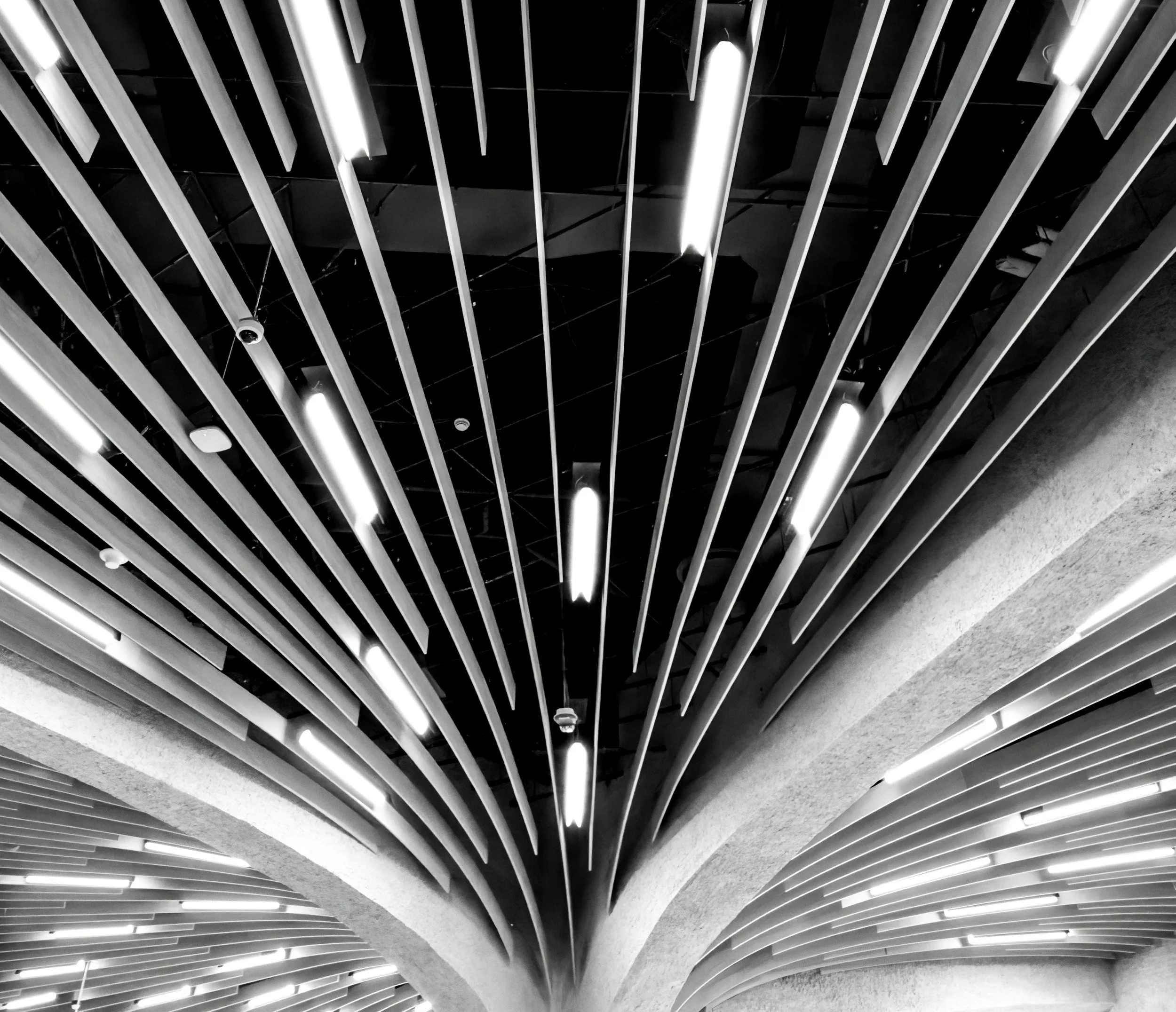 Black-and-white view of a modern architectural ceiling with curved ribbed panels and rows of fluorescent lights