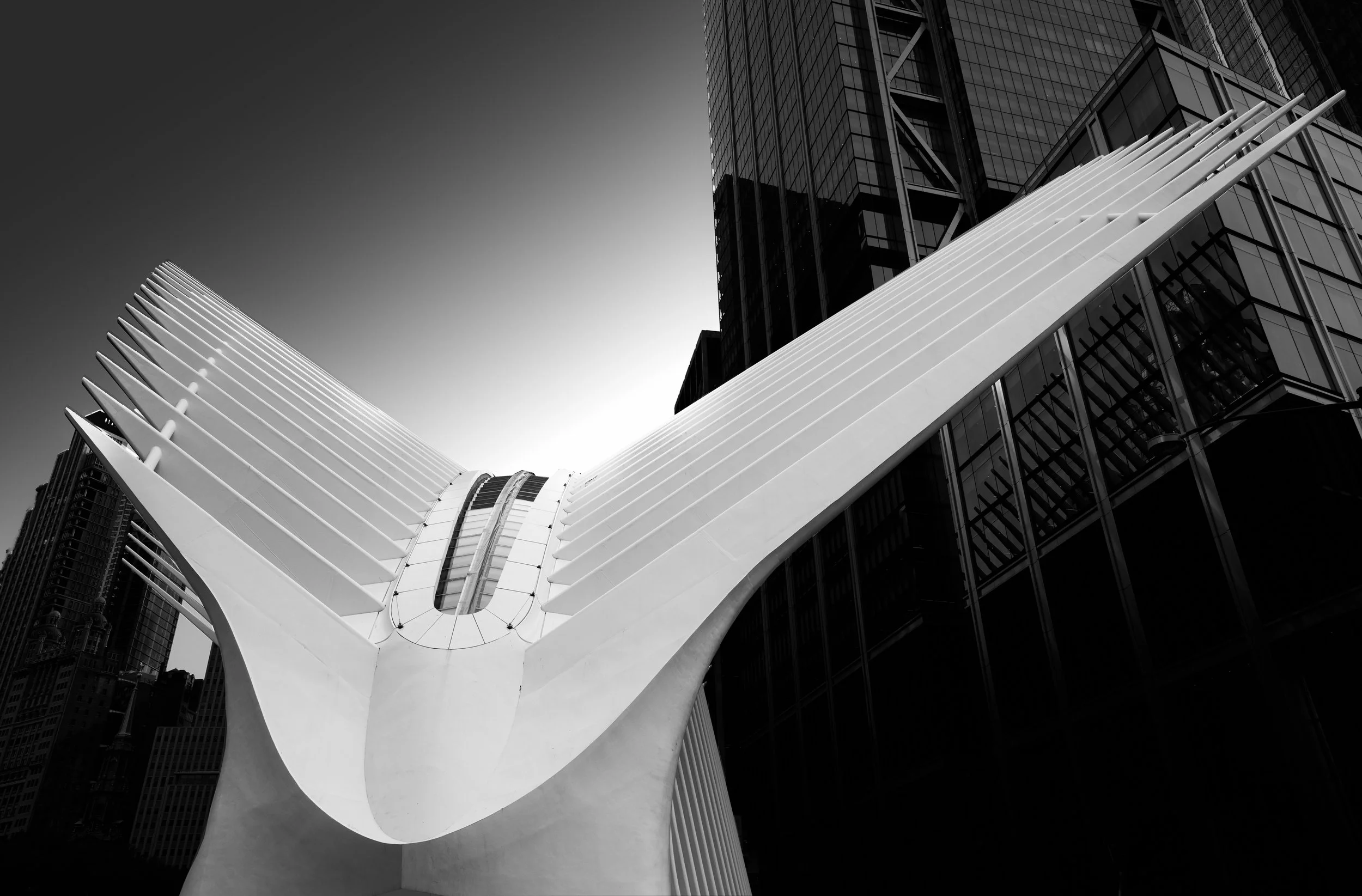 Black-and-white view of the Oculus transportation hub surrounded by modern skyscrapers in Lower Manhattan
