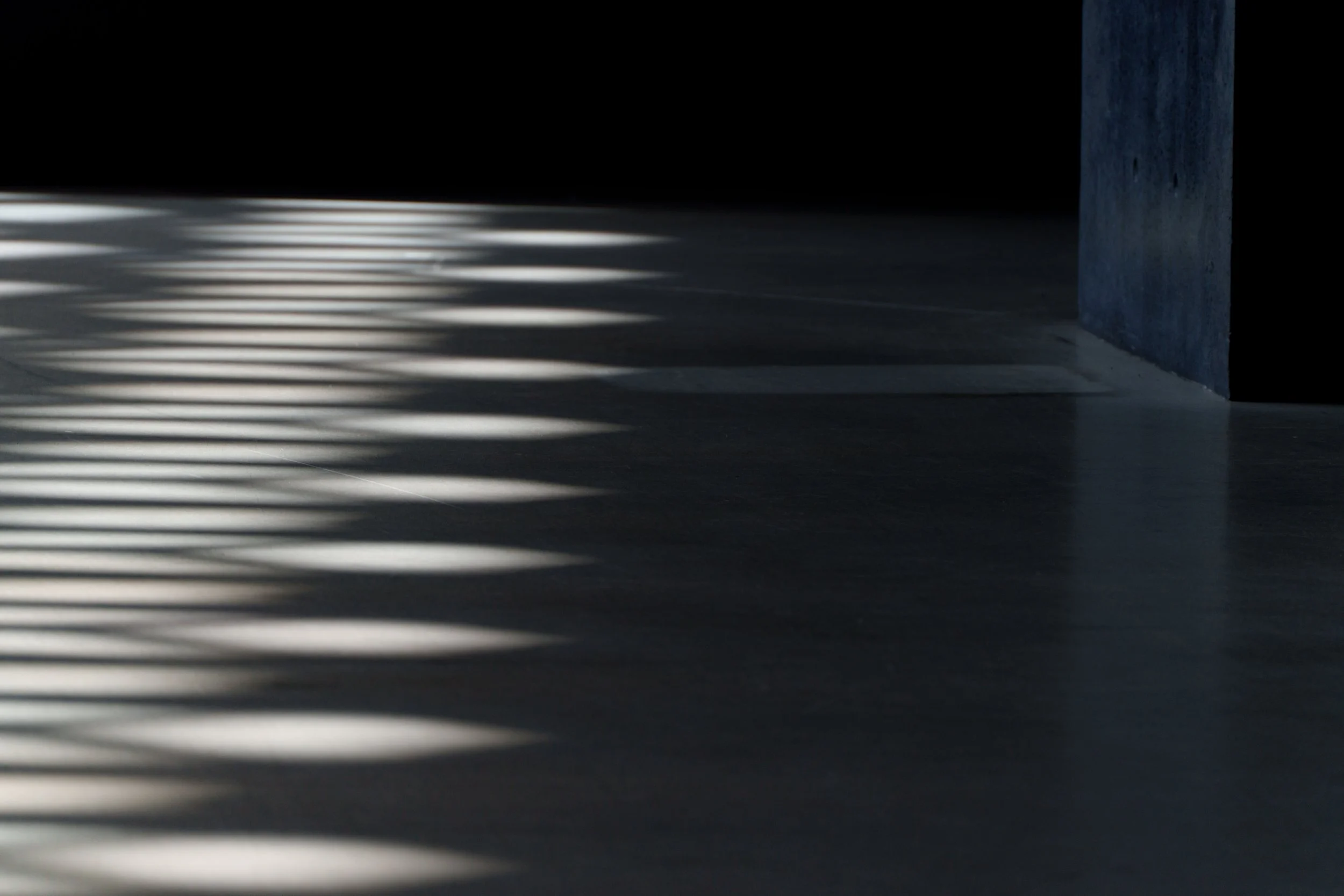 Sunlight and shadows cast across a dark concrete floor beside a blue-gray wall.