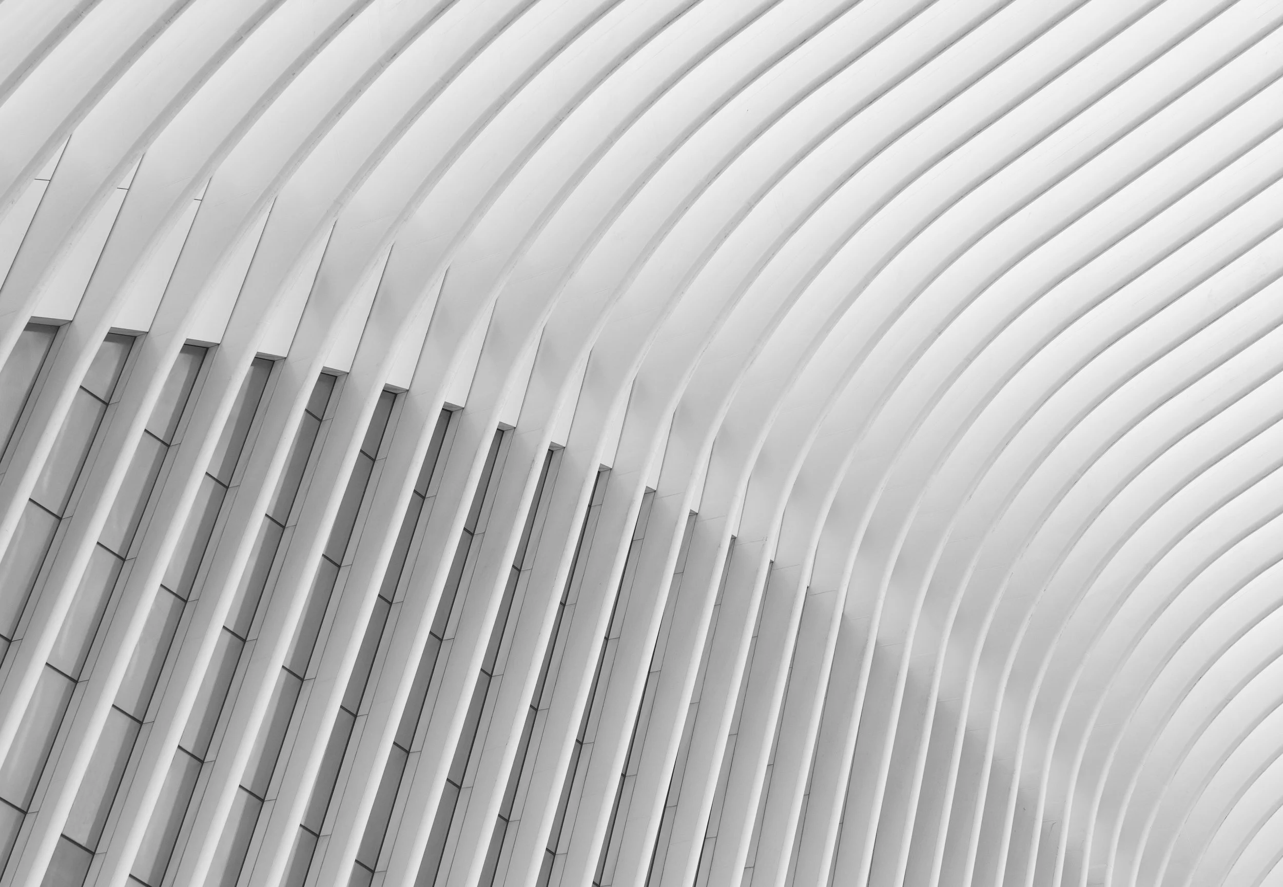 Black-and-white view of sweeping white architectural ribs and tall glass windows forming a modern building facade