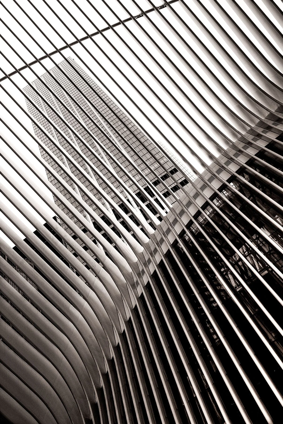 Black-and-white upward view of modern skyscrapers framed by sweeping curved architectural ribs
