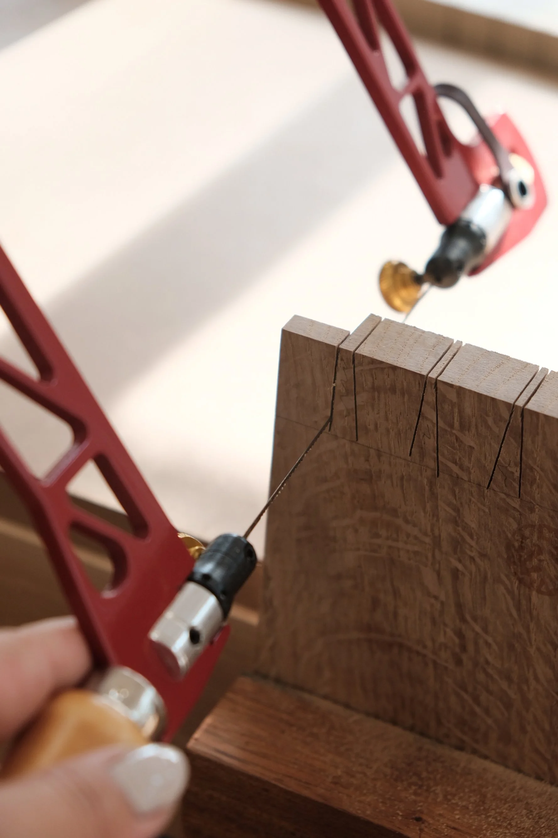 A person using a coping saw to cut a dovetails on Oak wood, with a vise holding the wood in place.