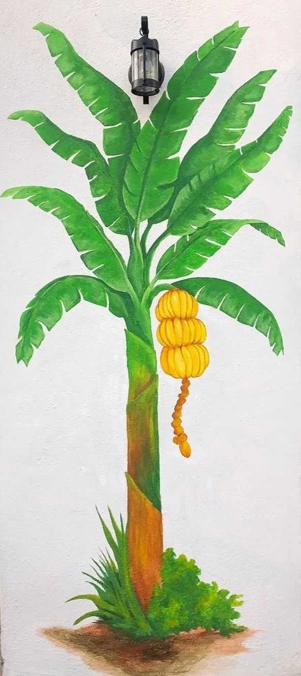 platano+color+anvar.jpg