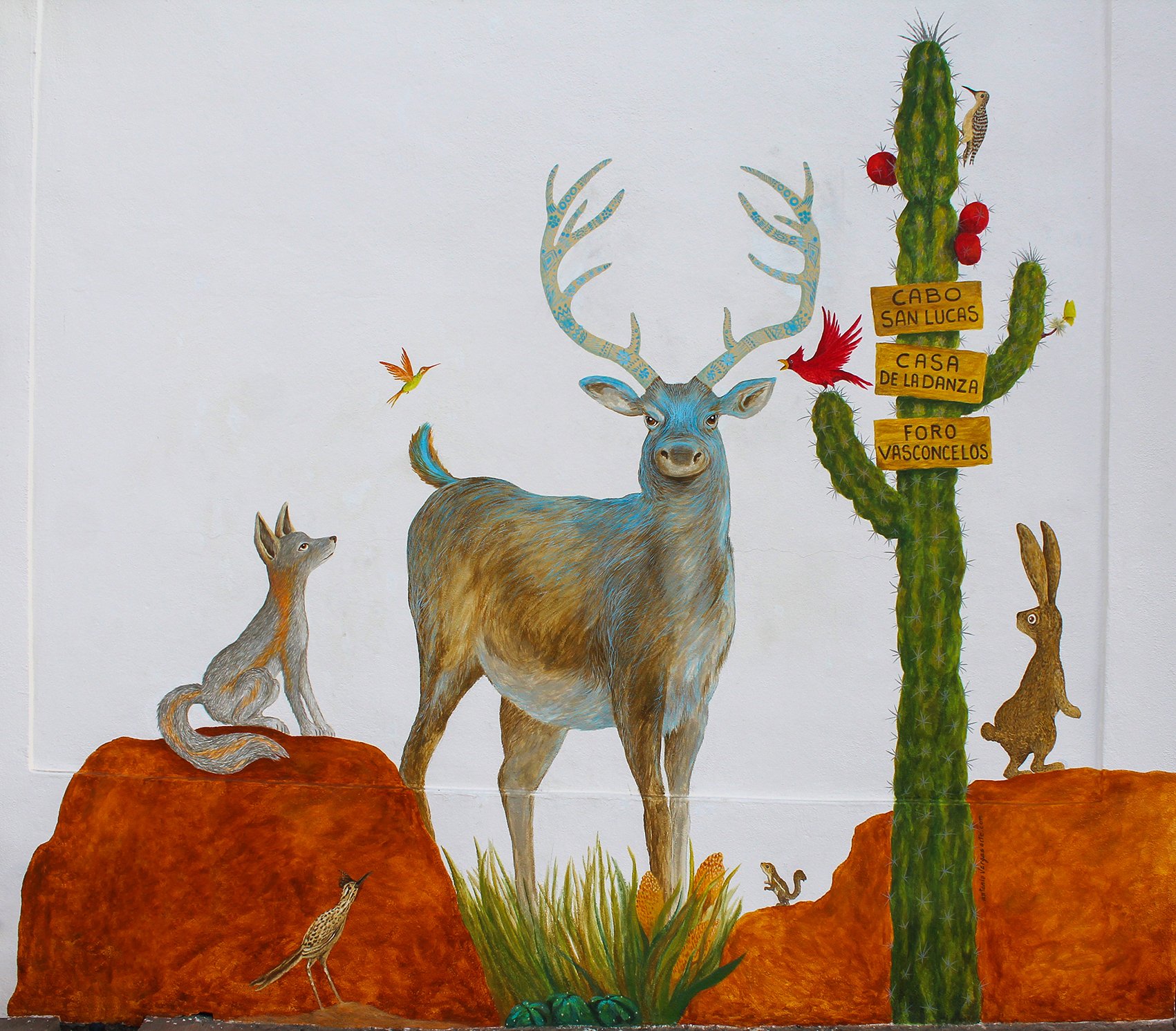 Venado Azul FV 3.jpg