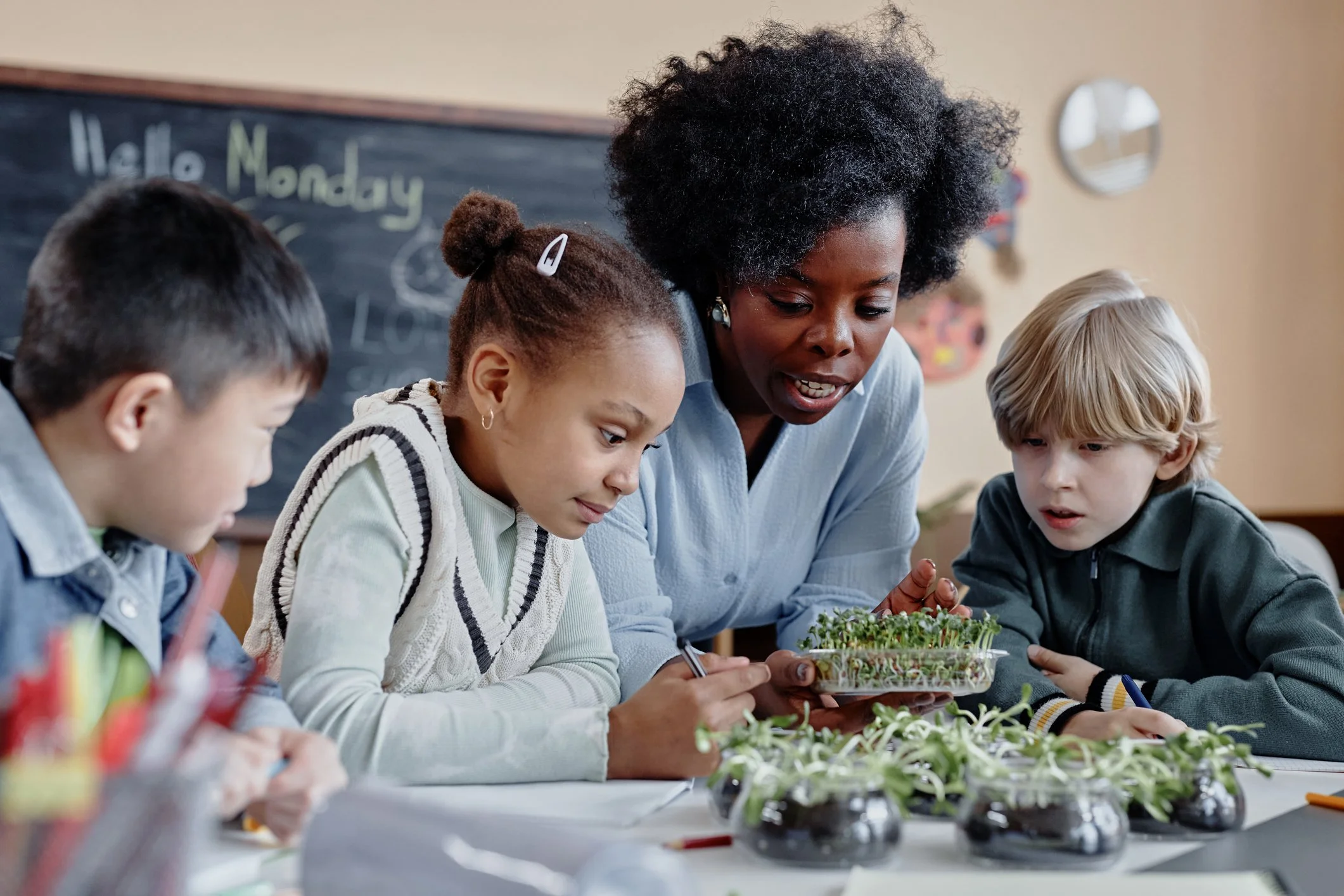 Climate Literacy: Empowering a New Generation for a Sustainable Future