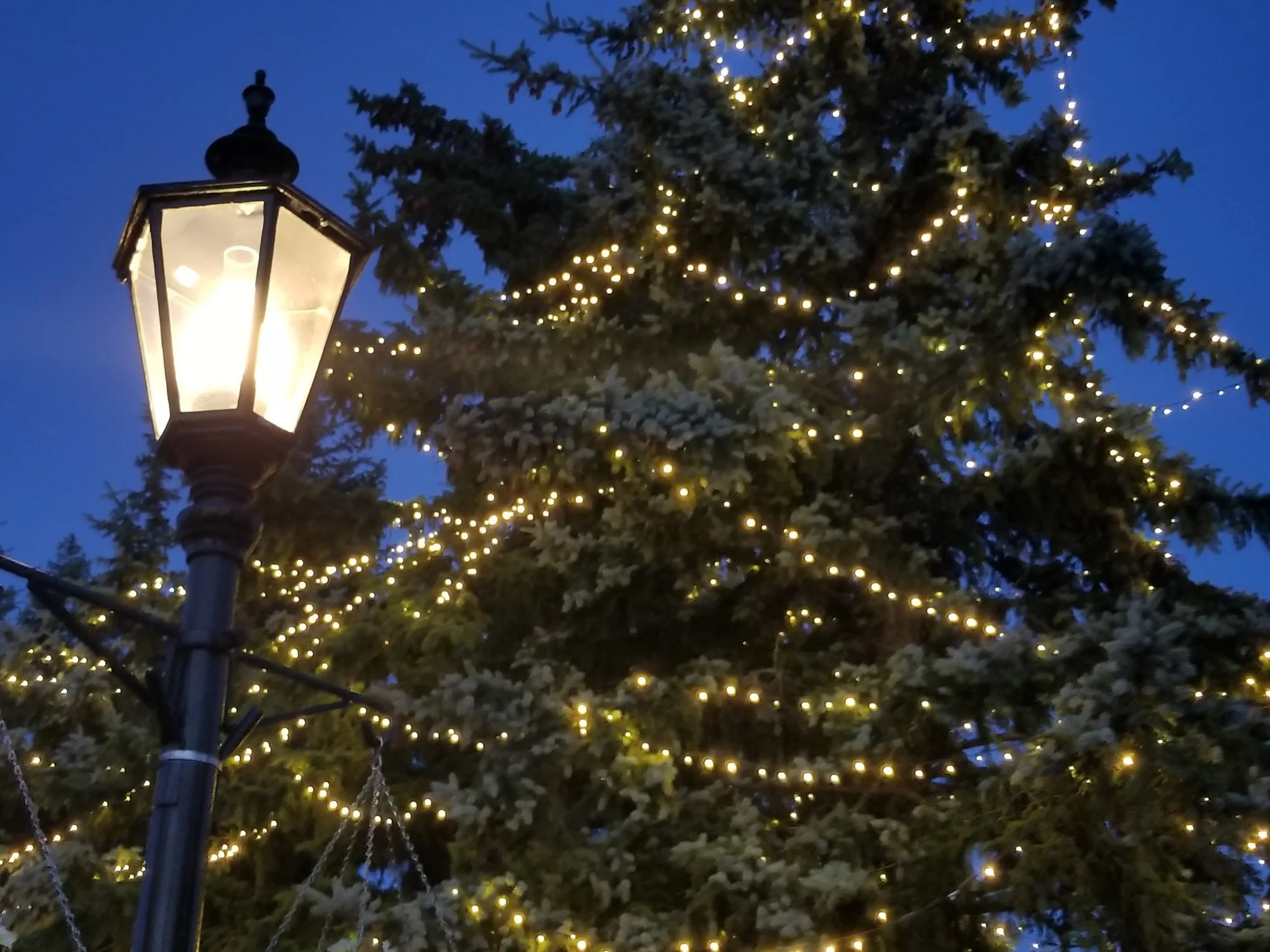 ‘Tis the Season to Shine Smarter: From Holiday LEDs to Smart Streetlights