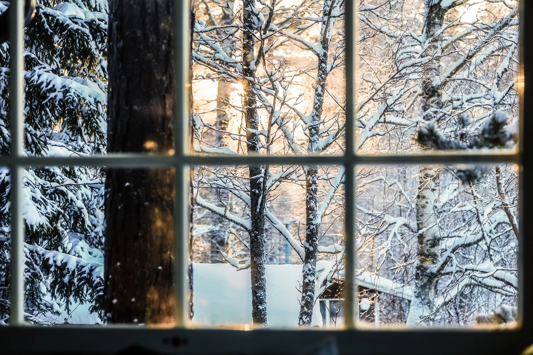 Make Your Resolutions Hit Home