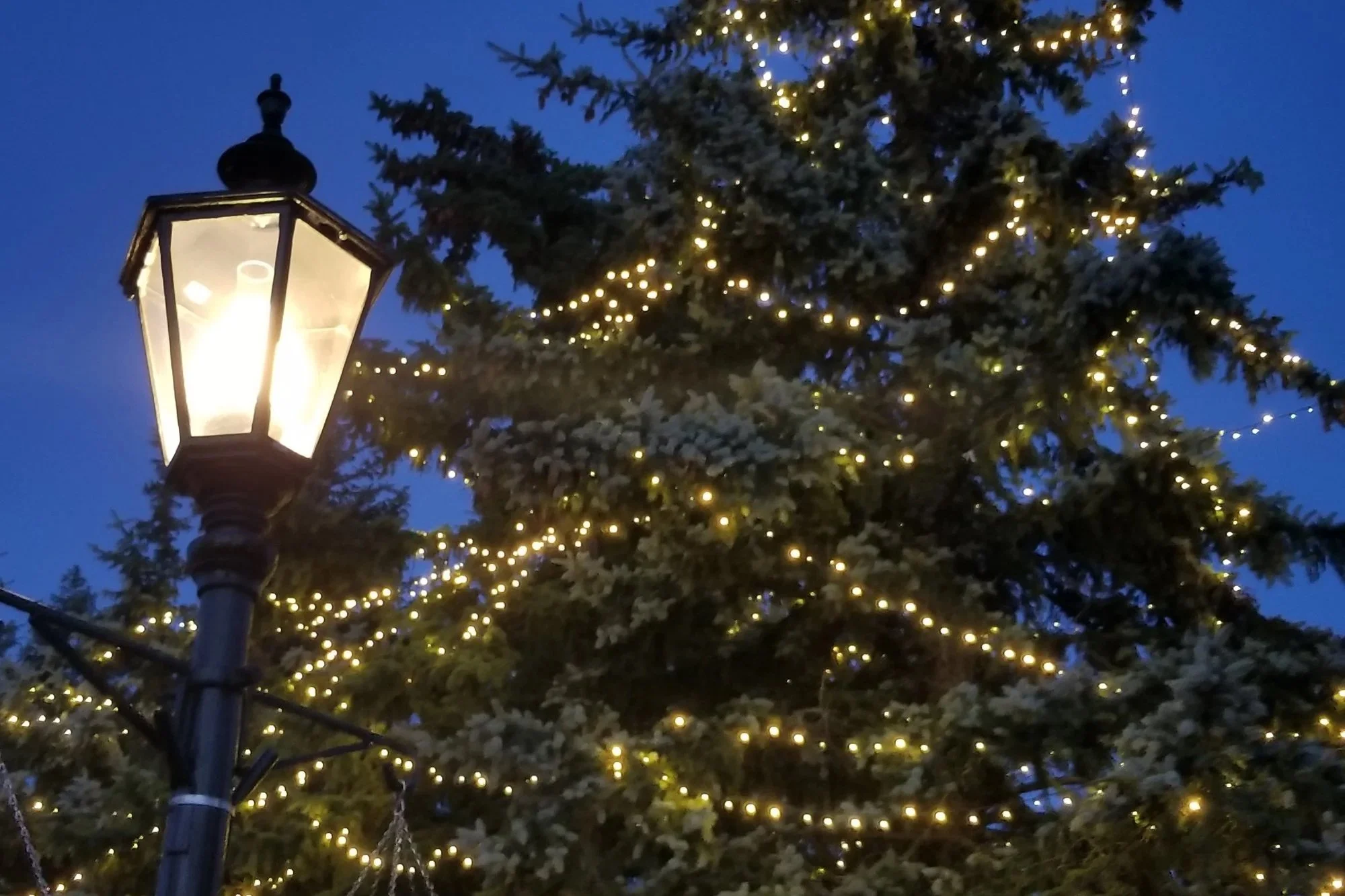 ‘Tis the Season to Shine Smarter: From Holiday LEDs to Smart Streetlights