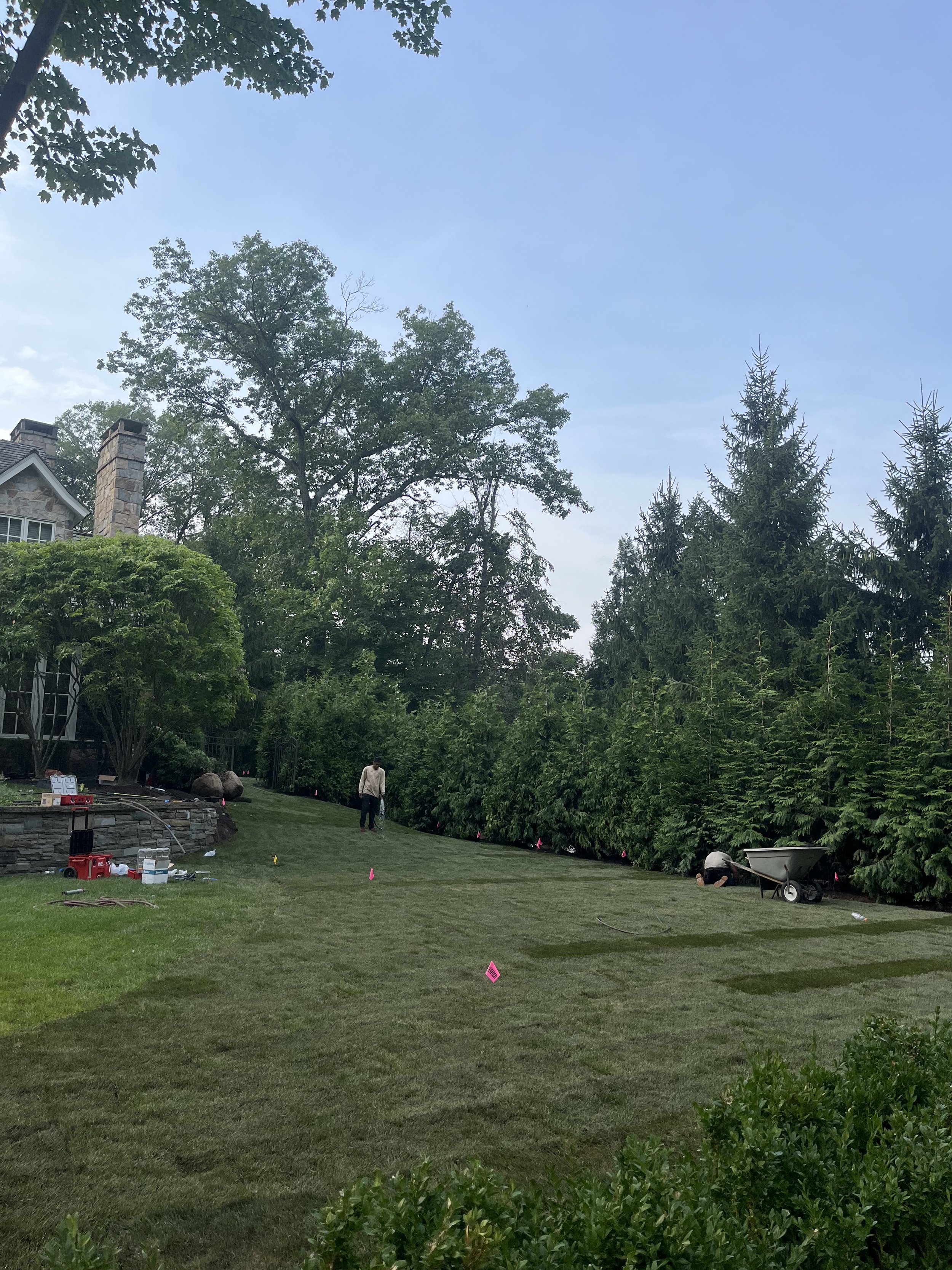 A backyard with lush green grass, trees, and shrubs. Two workers are planting or tending to the garden, and various gardening tools and equipment are scattered around. Pink flags mark areas in the yard, and a house with stone and siding exterior is v