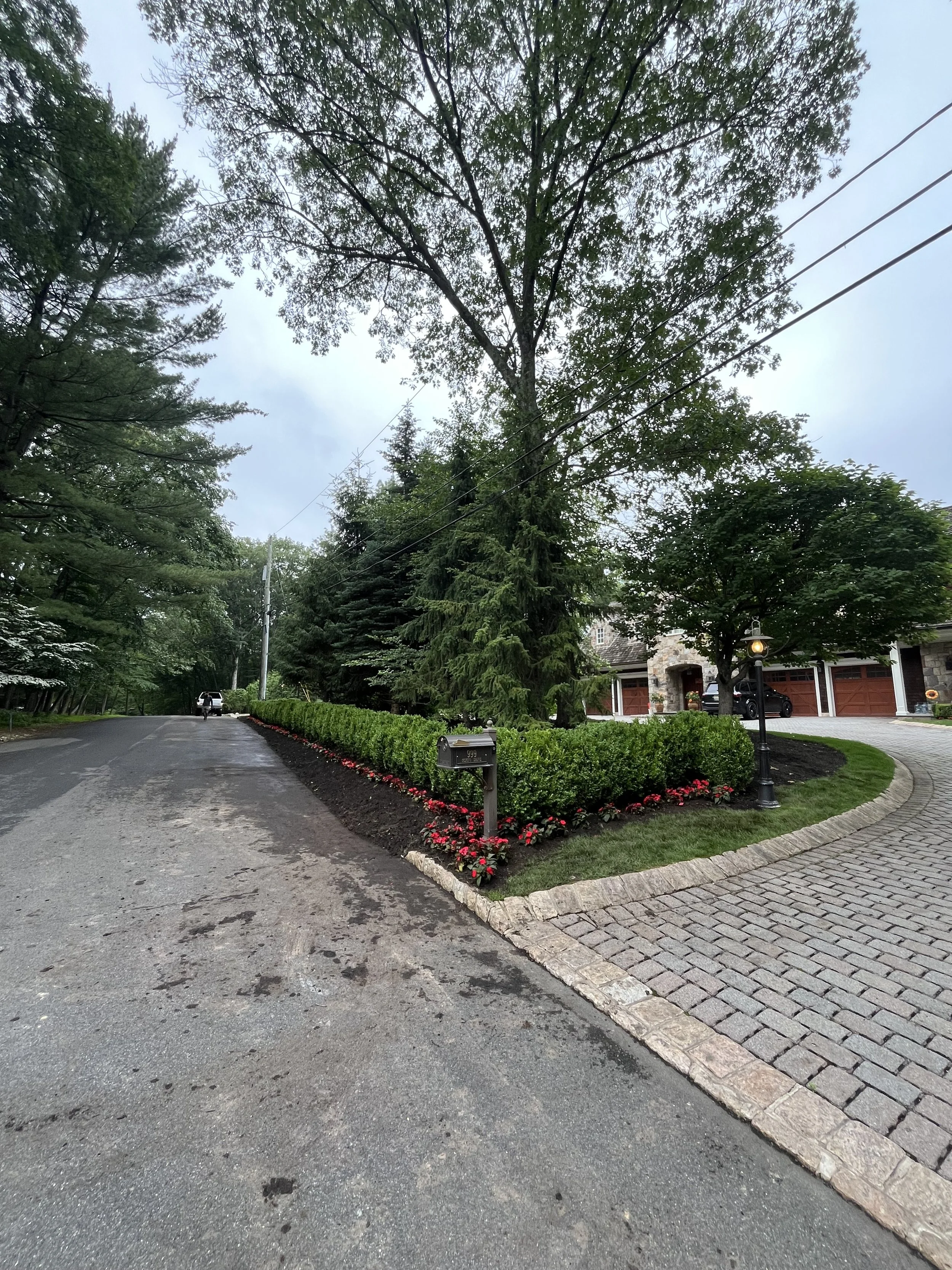 Residential neighborhood street view with lush trees, a stone house with a garage, a black car parked outside, well-maintained lawn and flower beds, a lantern-style street light, and a mailbox along the curb.