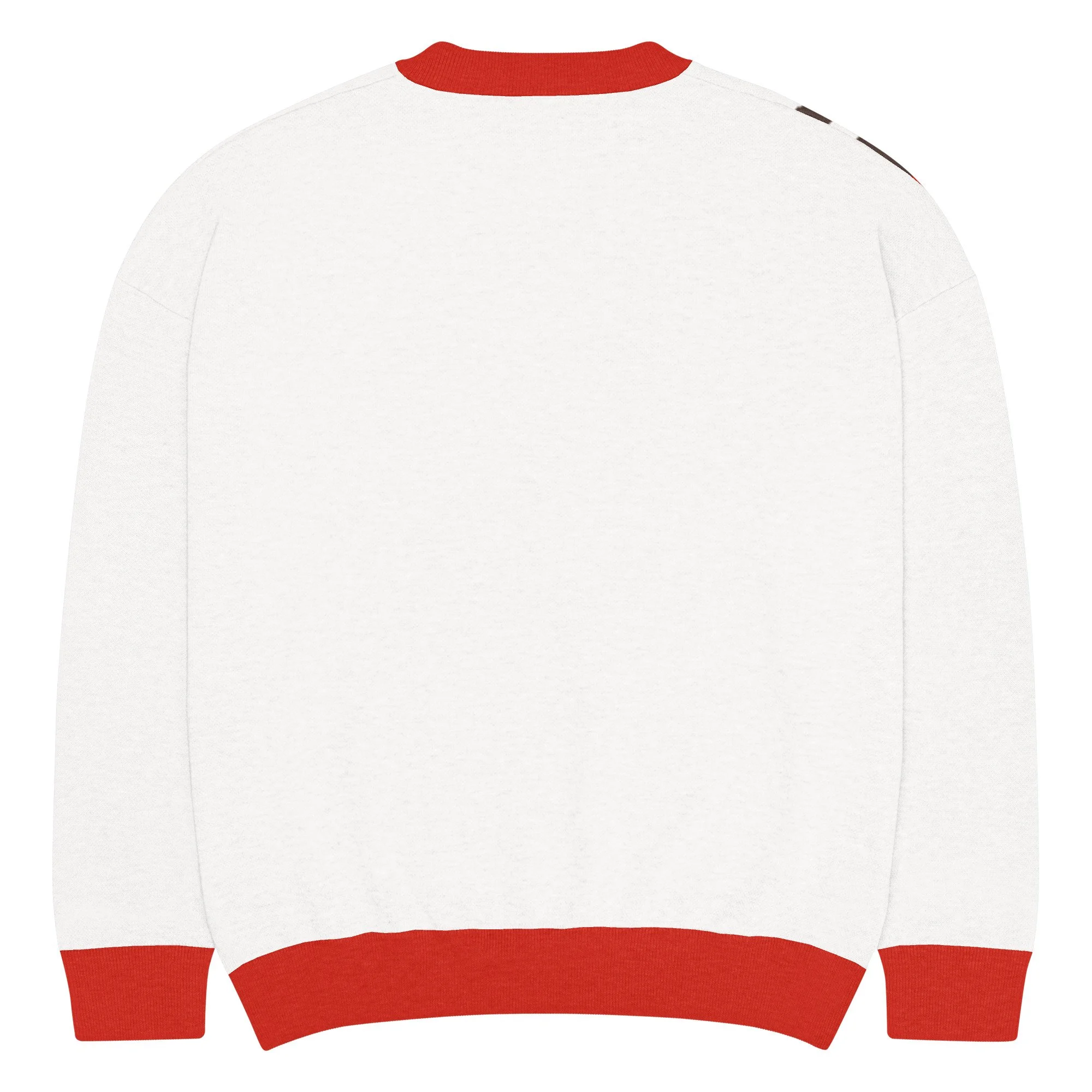 relaxed-fit-knitted-crew-neck-sweater-custom-2xs-back-68b35e40d9217.jpg