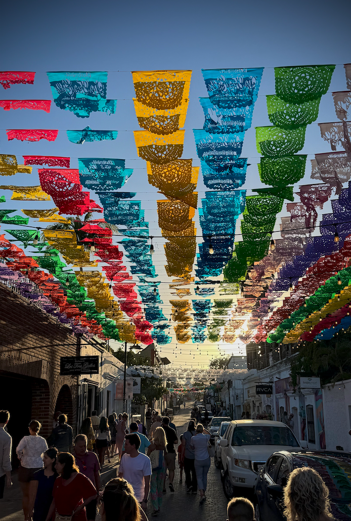 Screenshot 2025-08-11 at 11.13.28 AM.png