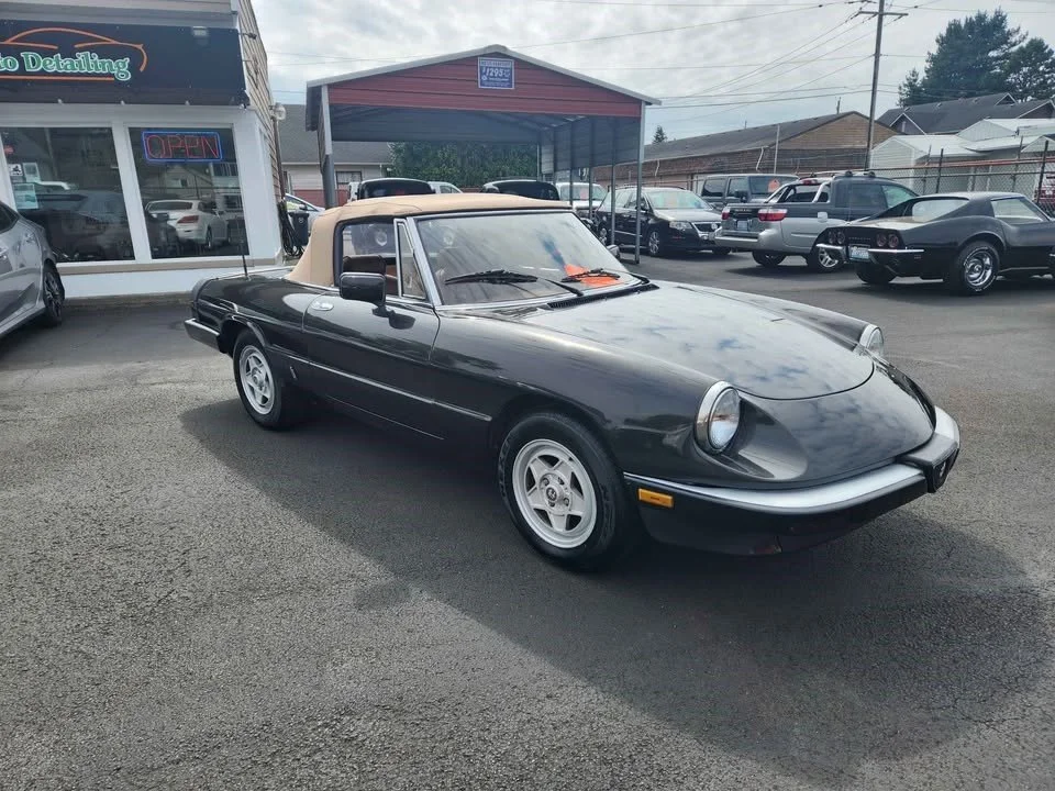 545597069_24429379660038246_1002413326649865134_n (1).jpg