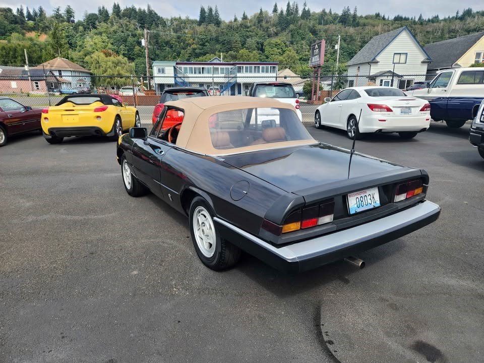 545411935_24429379770038235_1021885424524894047_n (1).jpg