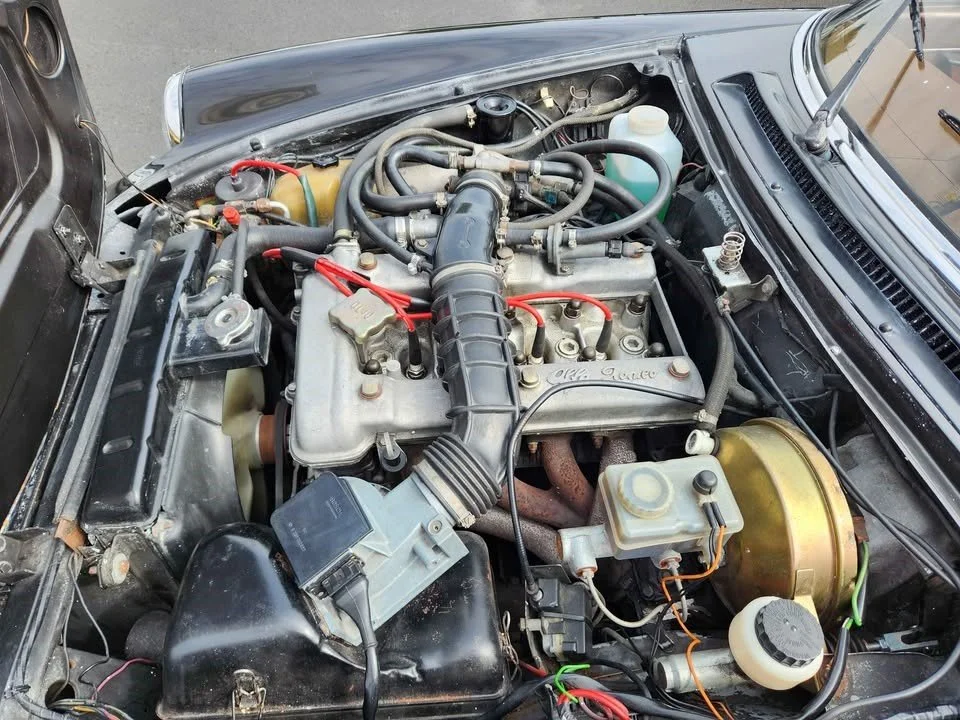 545383076_24429379766704902_9036595946106637375_n (1).jpg