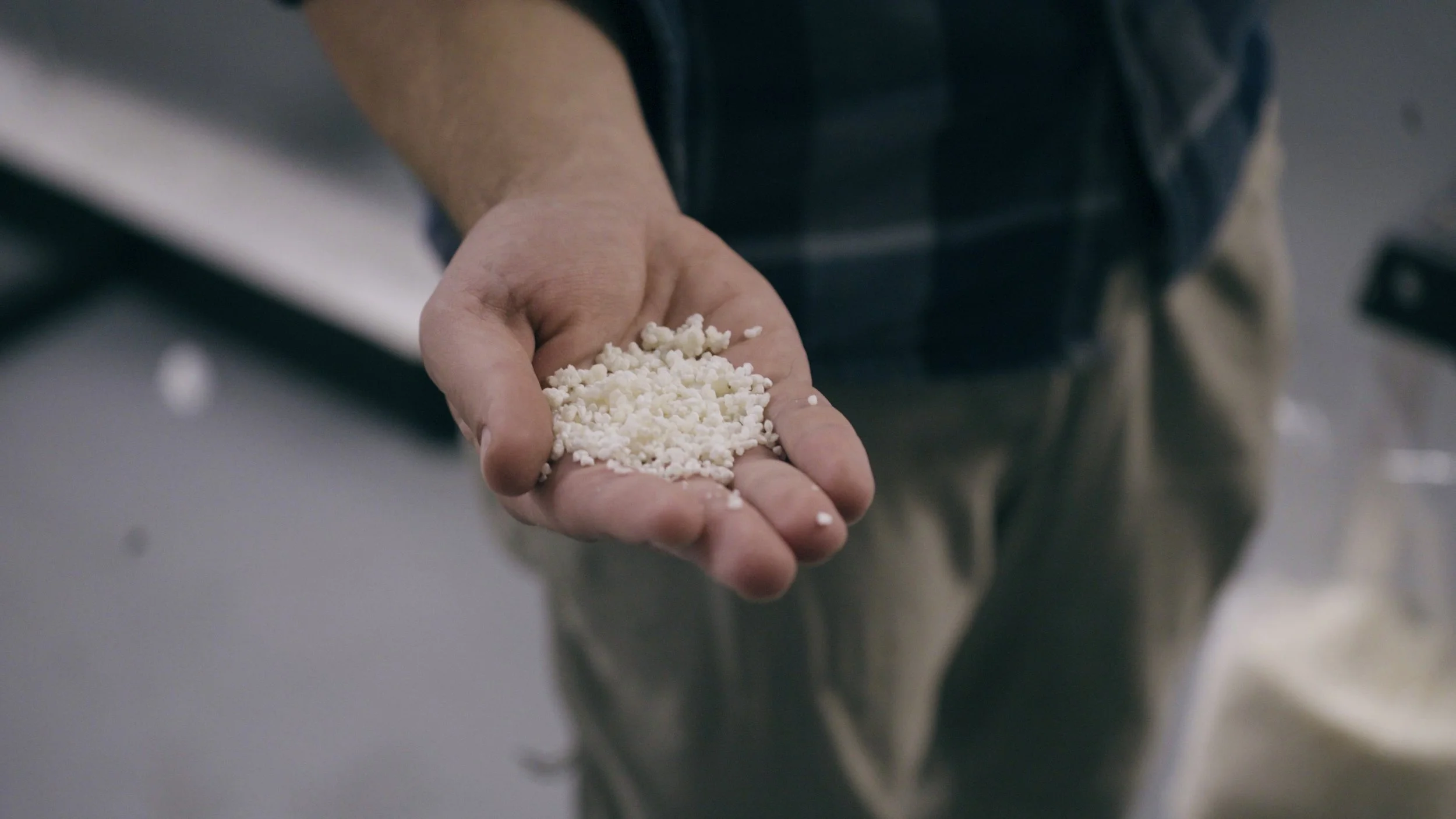 What Does Sake Taste Like? A Brewer's Honest Answer