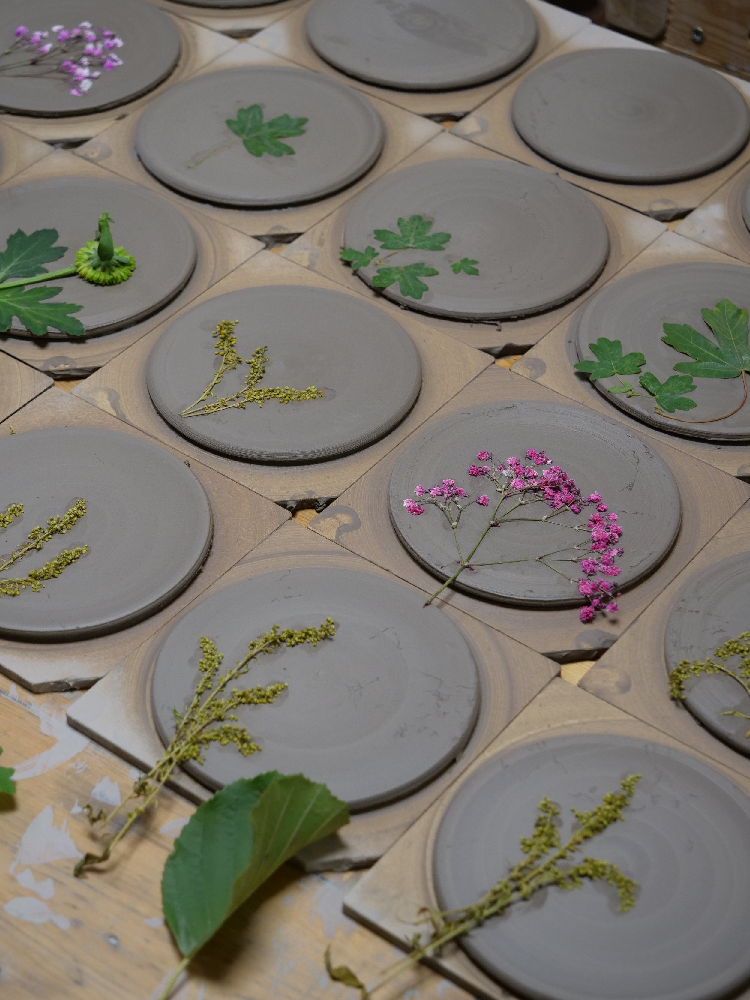 Ceramic plates with pressed plant leaves and flowers arranged on a wooden surface, some plates feature pink, green, and yellow botanical specimens.