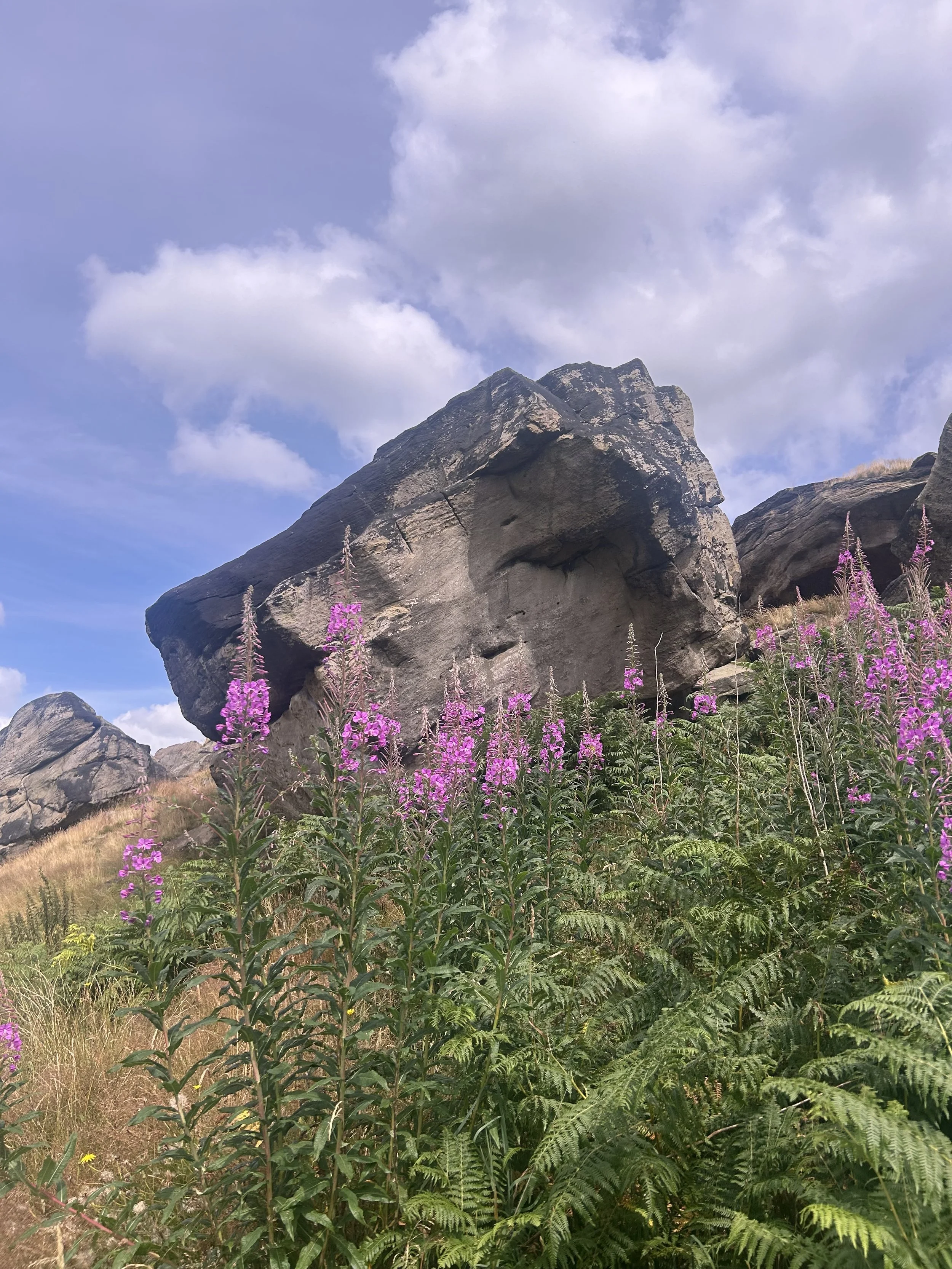 Large gray boulder with pink wildflowers and green ferns in the foreground, under a partly cloudy sky.