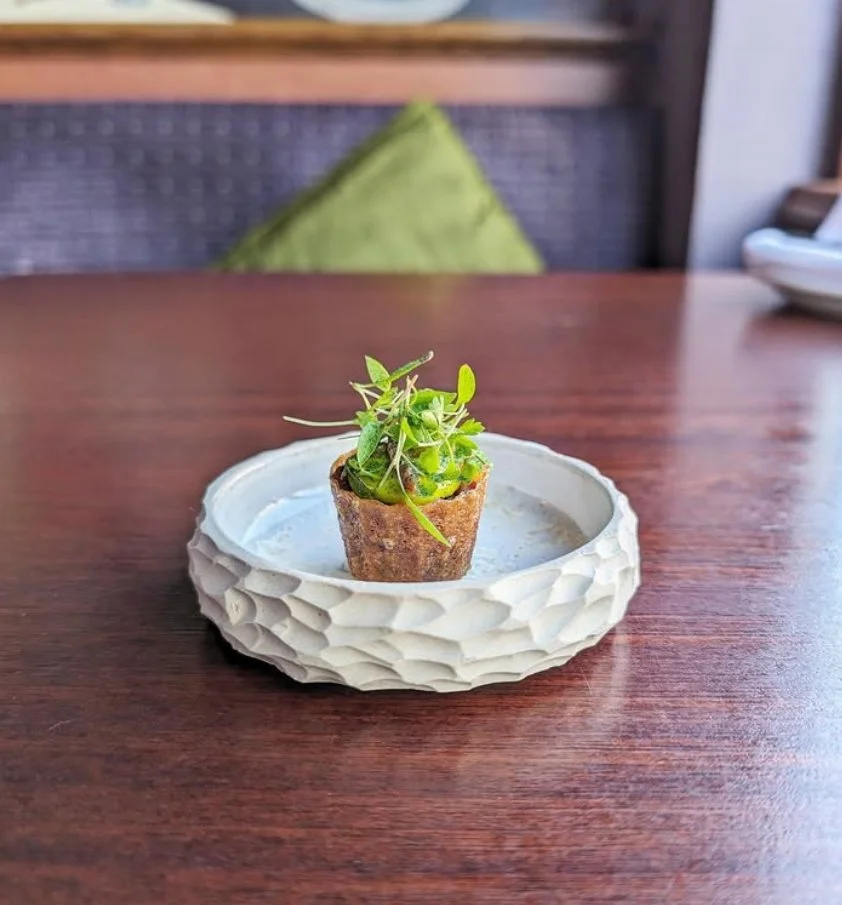 Small potted plant with green leaves on a decorative white dish on a wooden table.