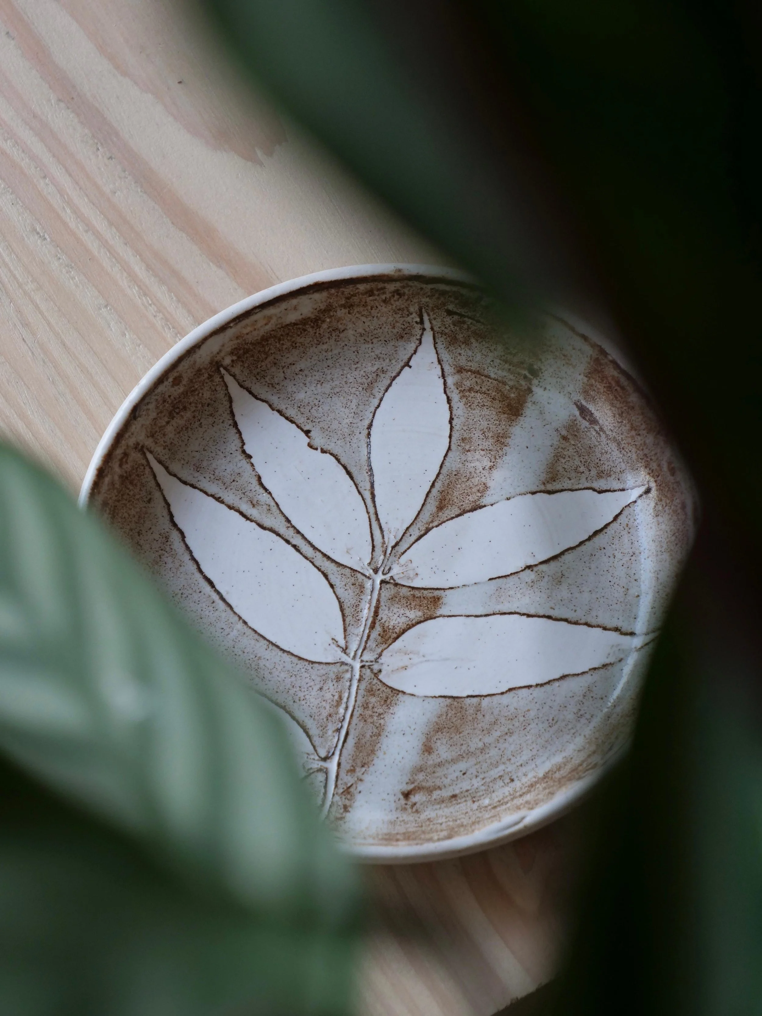 Autumn 2025 Collection