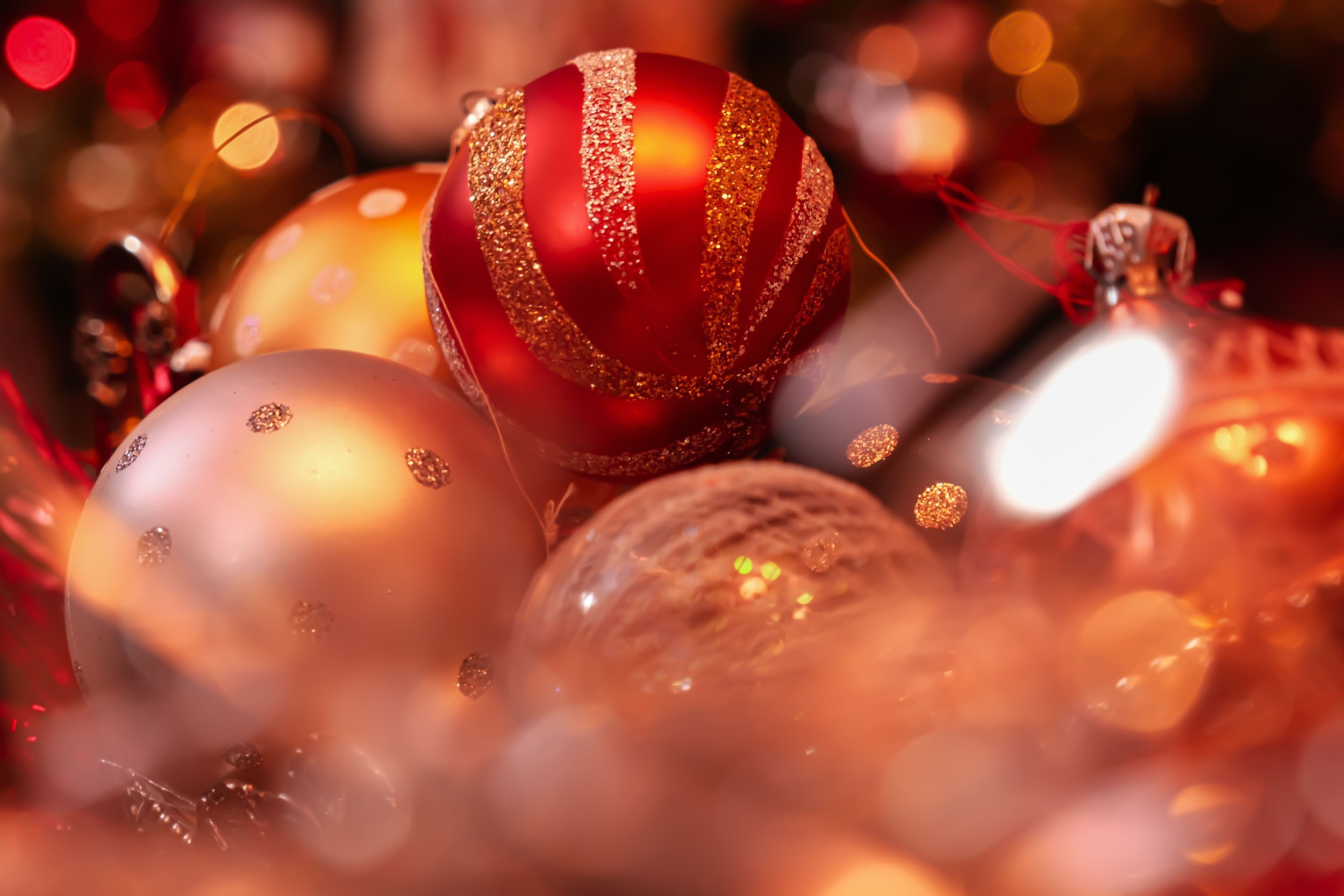 Holiday Lice Prevention Tips Every Family Should Know