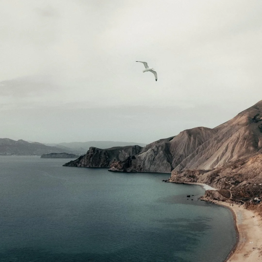 Seaside landscape with cliffs and a seagull flying in the sky.