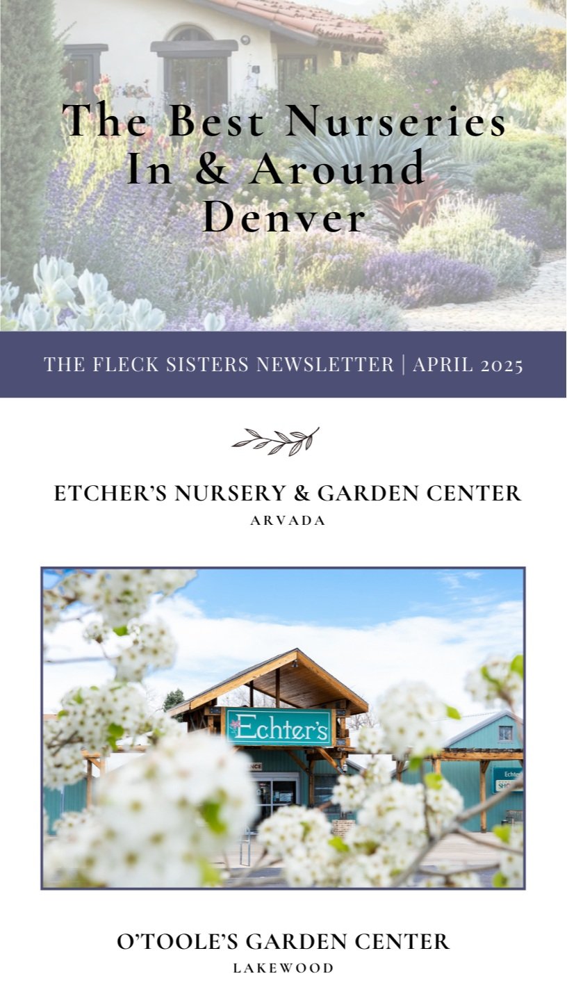 april 2025 newsletter
