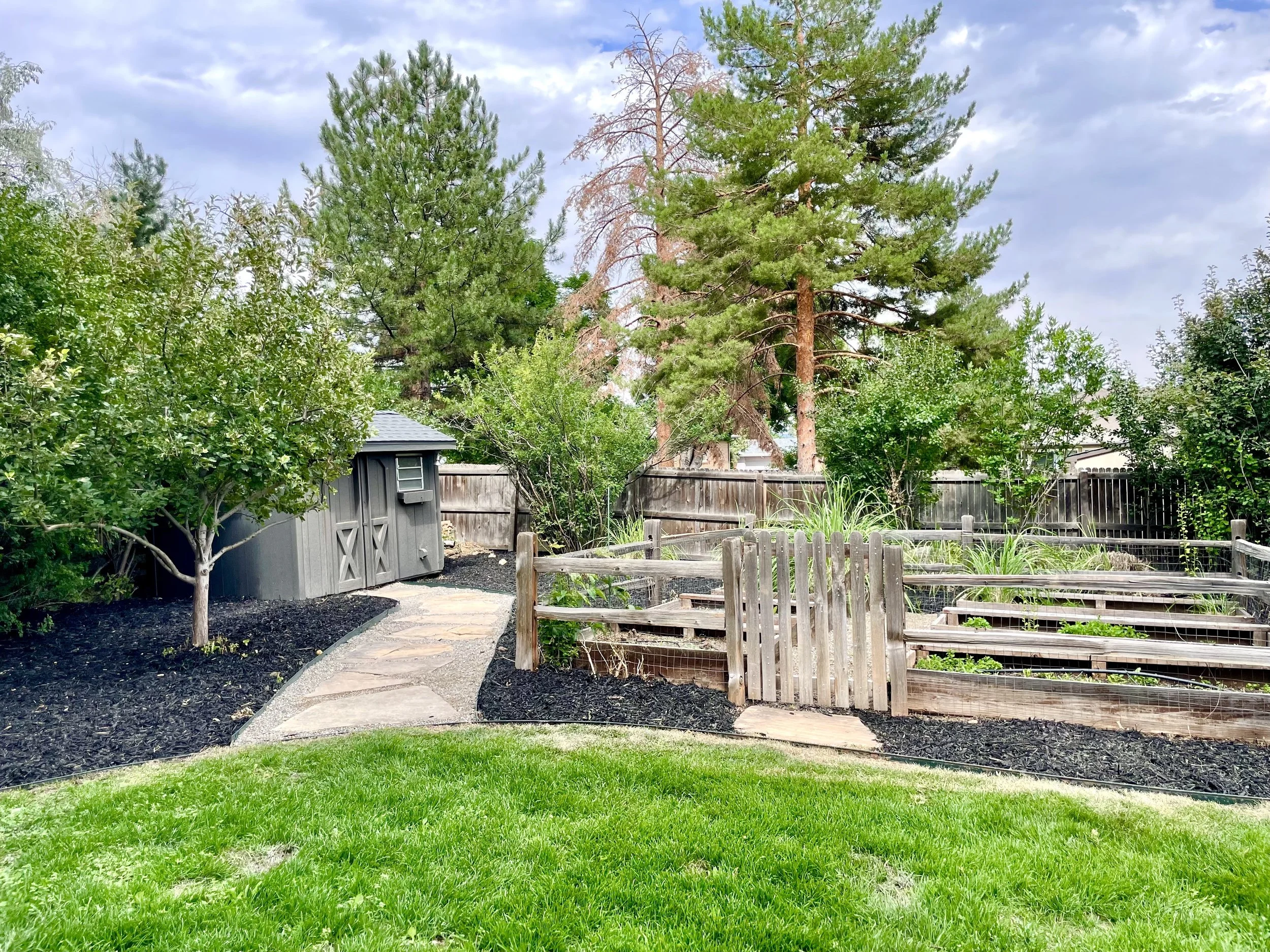 Garden.jpg