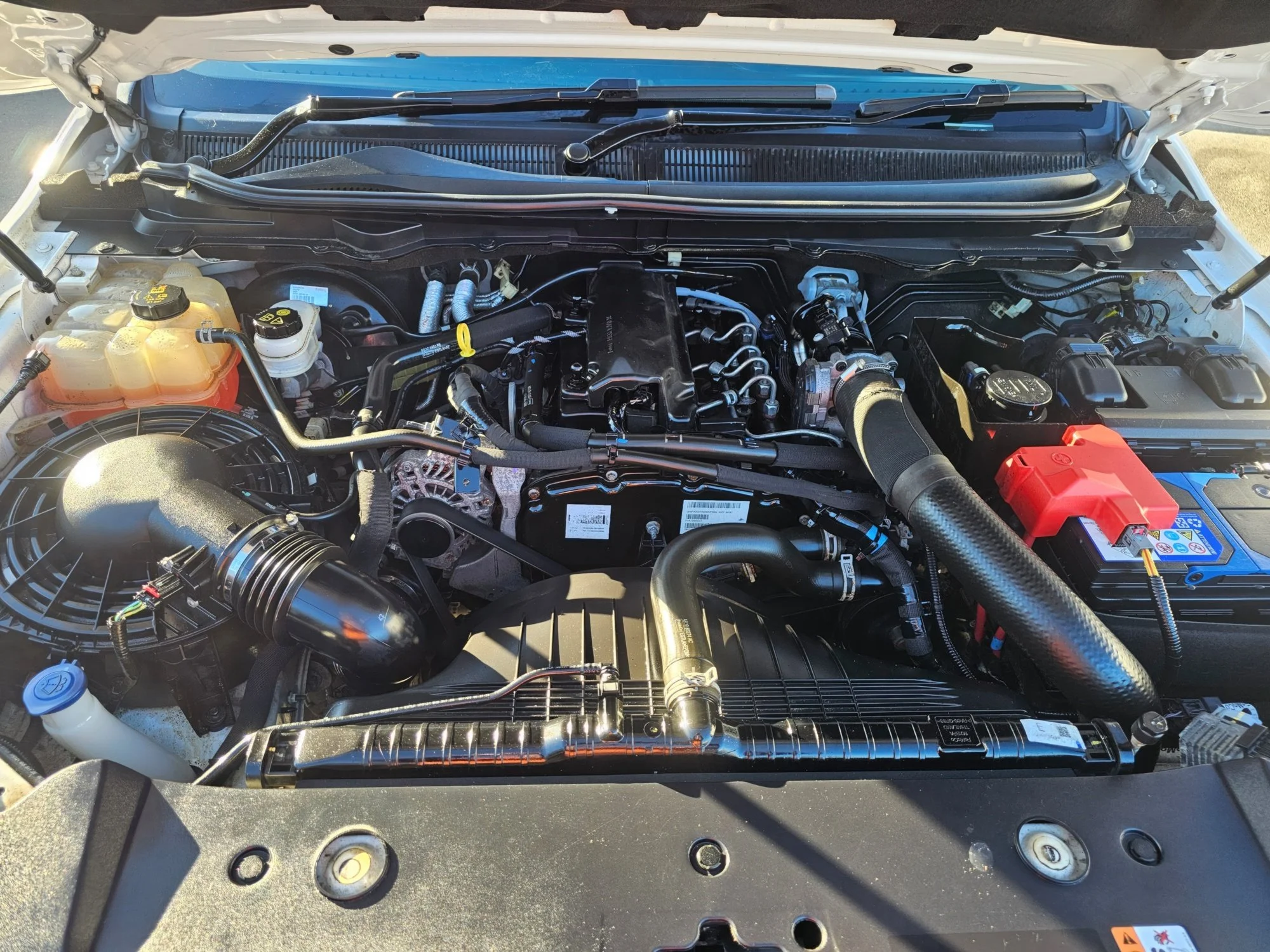 20250724_153150Resize-standard-scale-0_50x.jpg