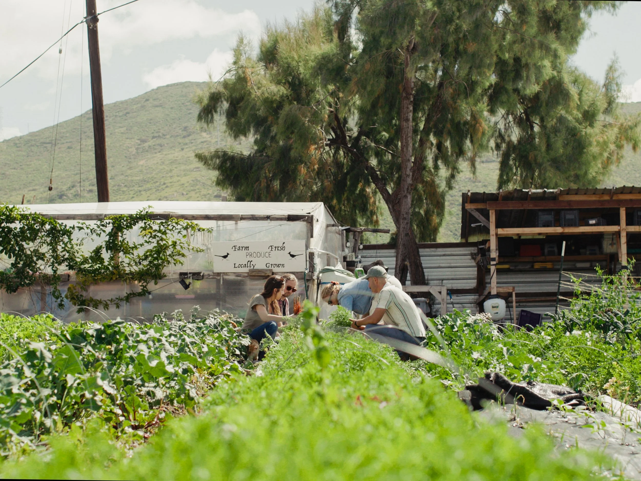 San Diego County Food Vision 2030 — San Diego Food System Alliance