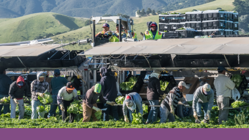 Farmworkers